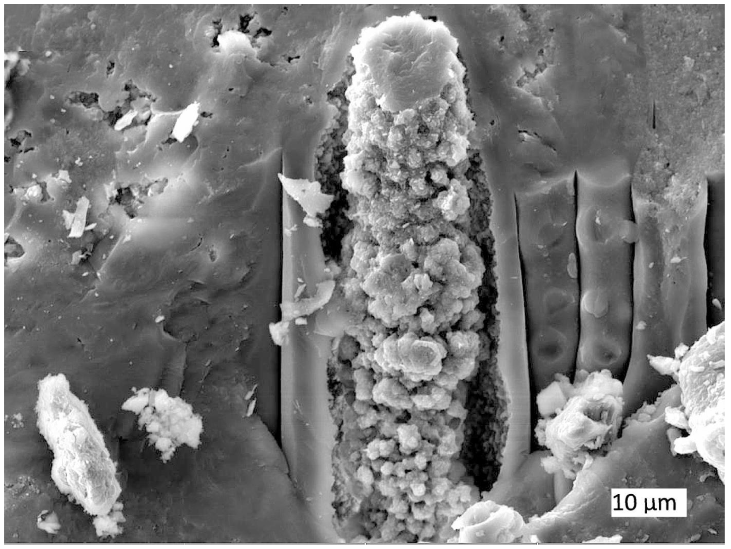 Minerals 12 00131 g019 550
