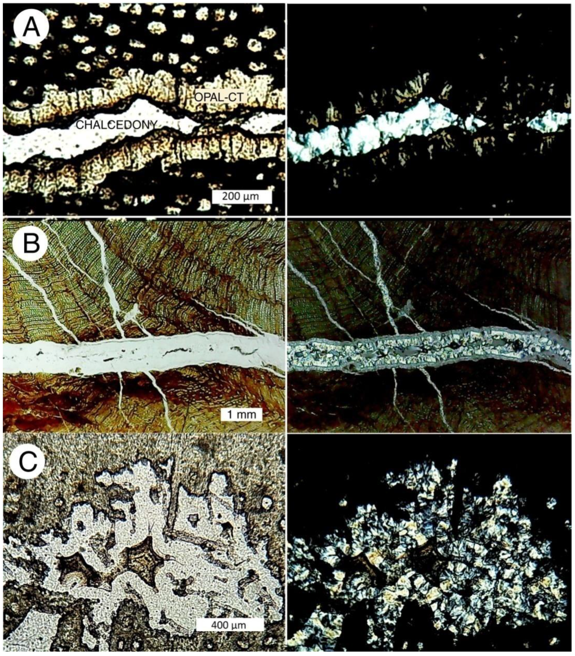 Minerals 12 00131 g020 550