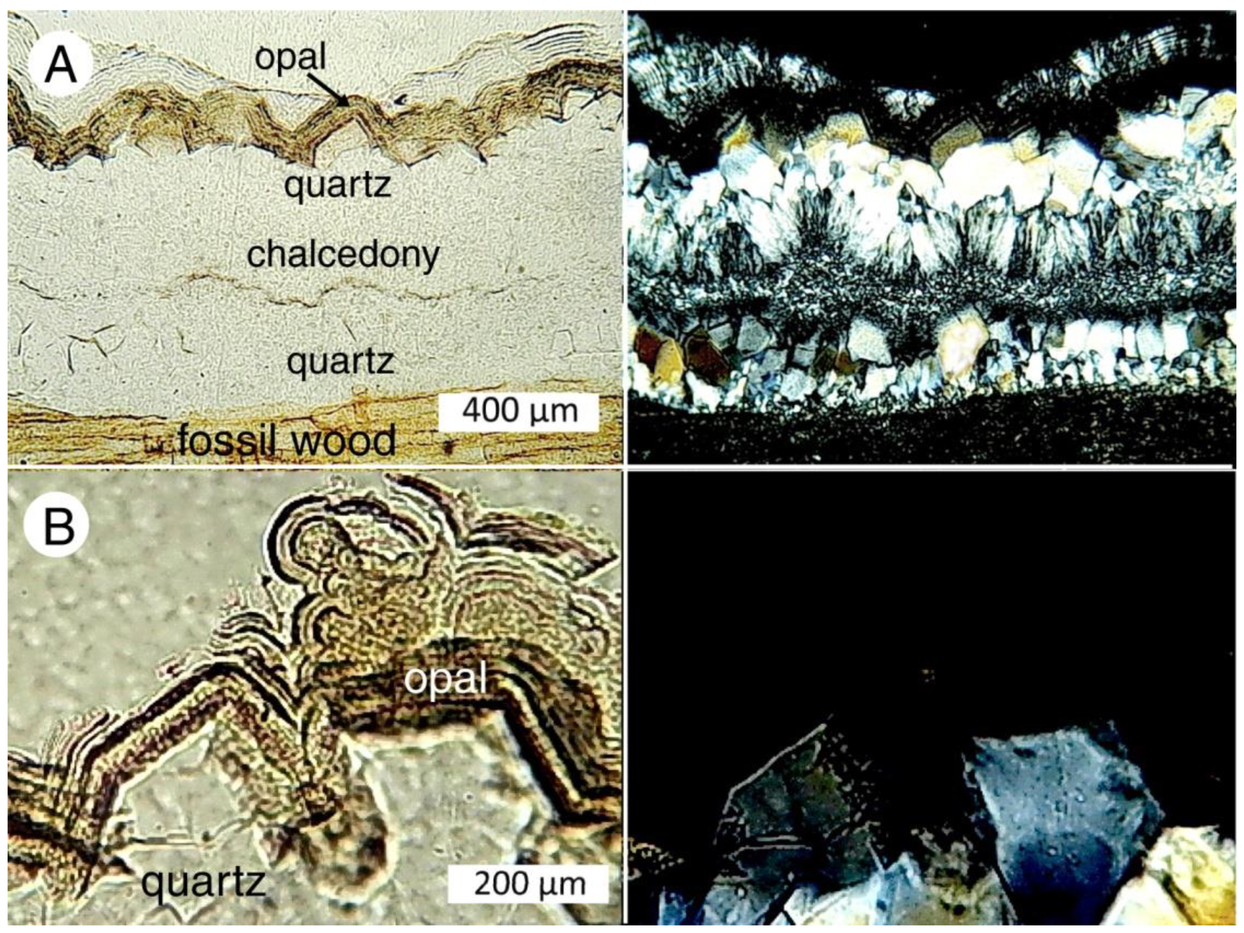 Minerals 12 00131 g021 550