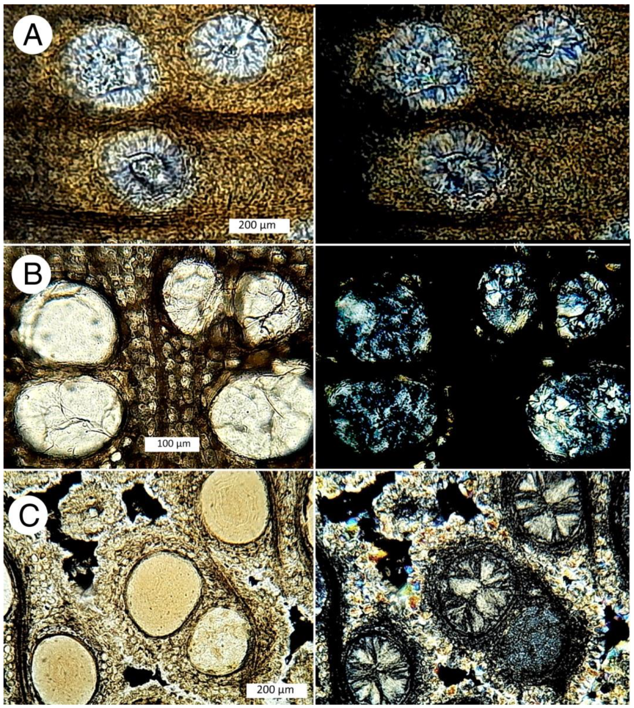 Minerals 12 00131 g022 550