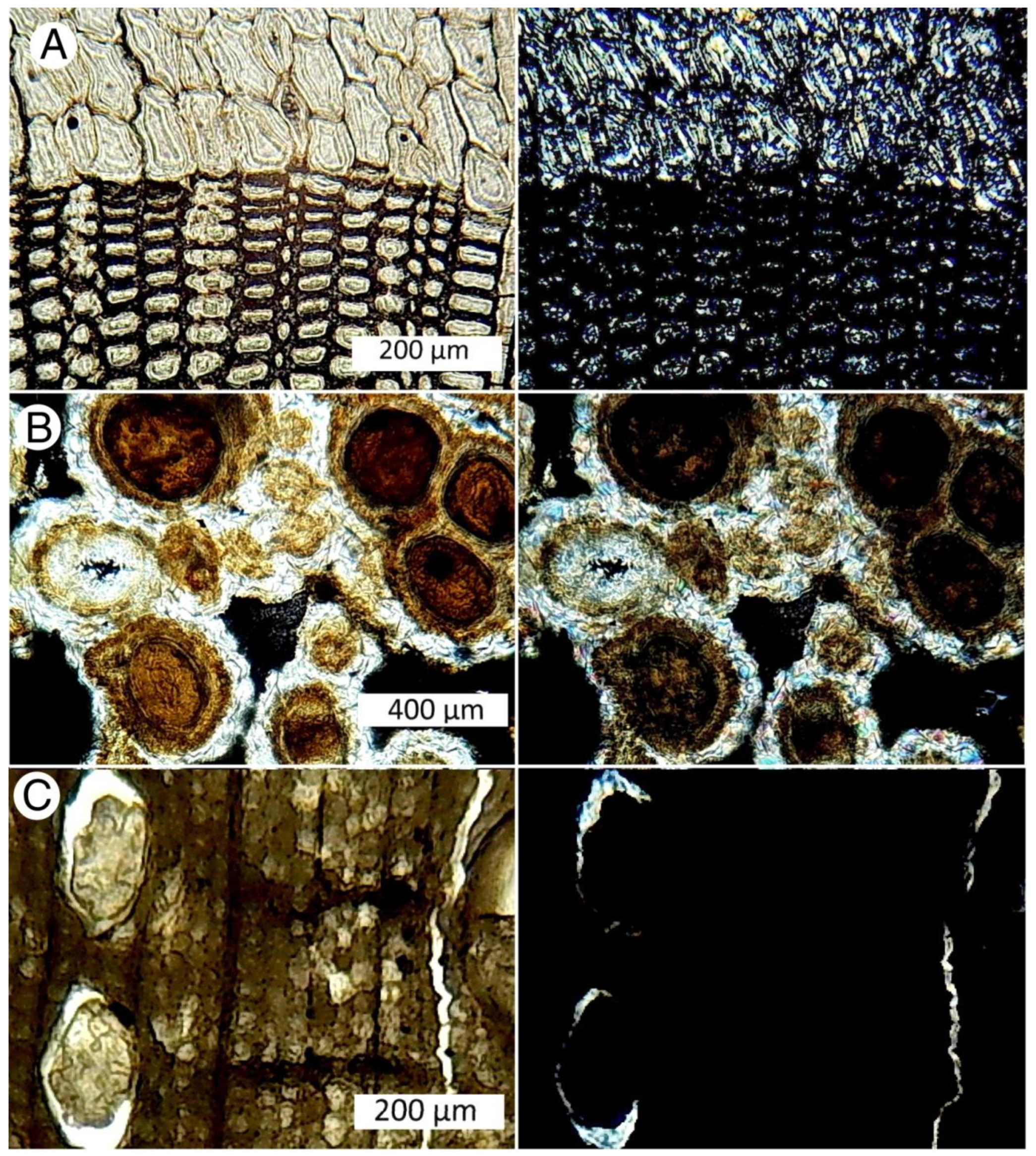 Minerals 12 00131 g023 550
