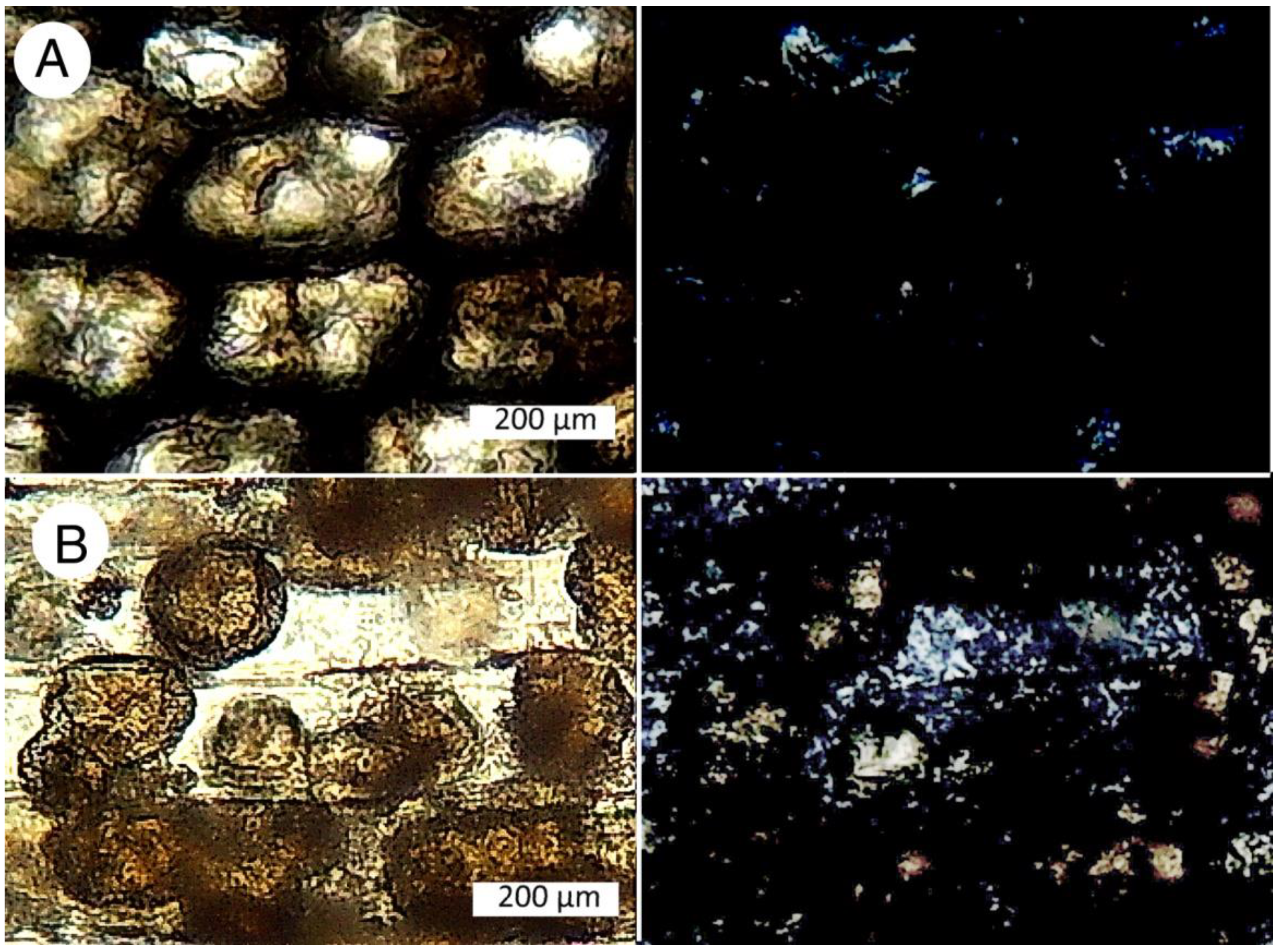 Minerals 12 00131 g025 550