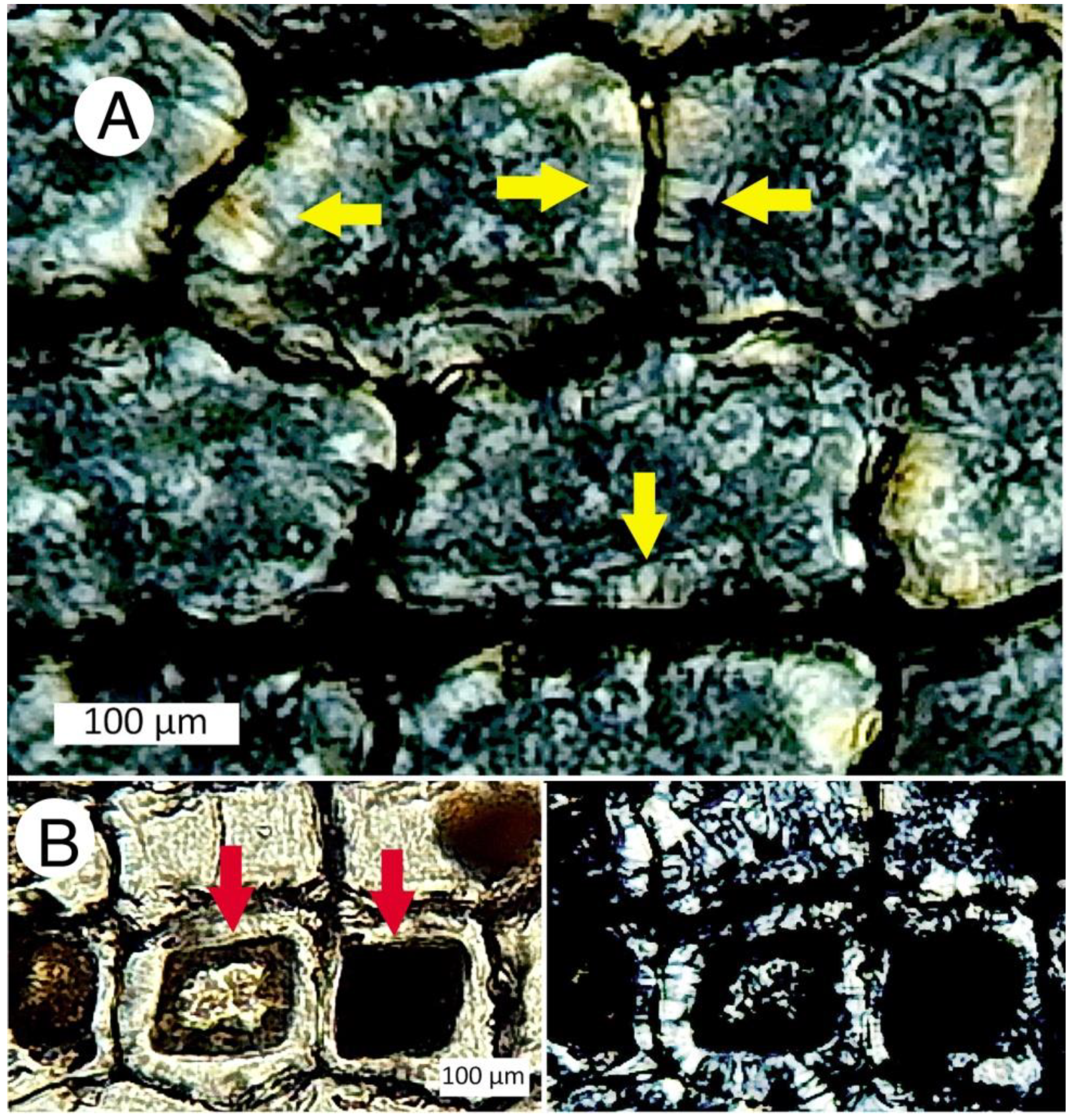 Minerals 12 00131 g028 550