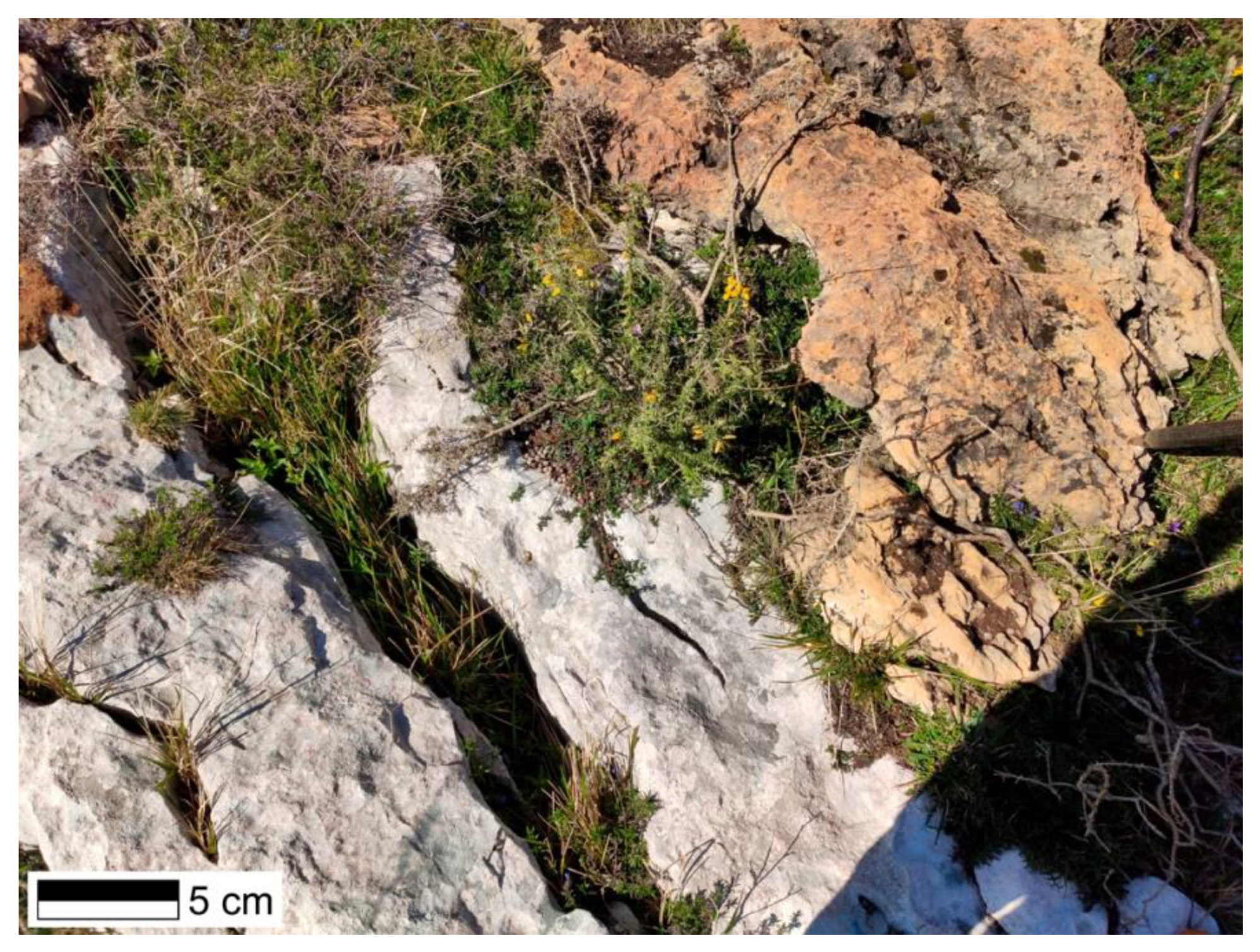 Minerals 12 00140 g010 550