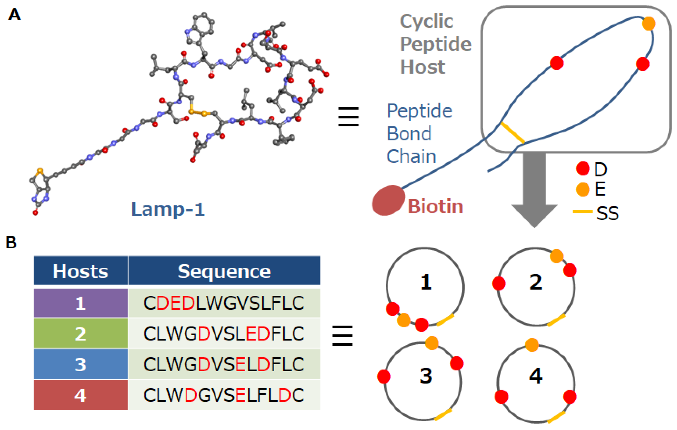 Minerals 12 00148 g001