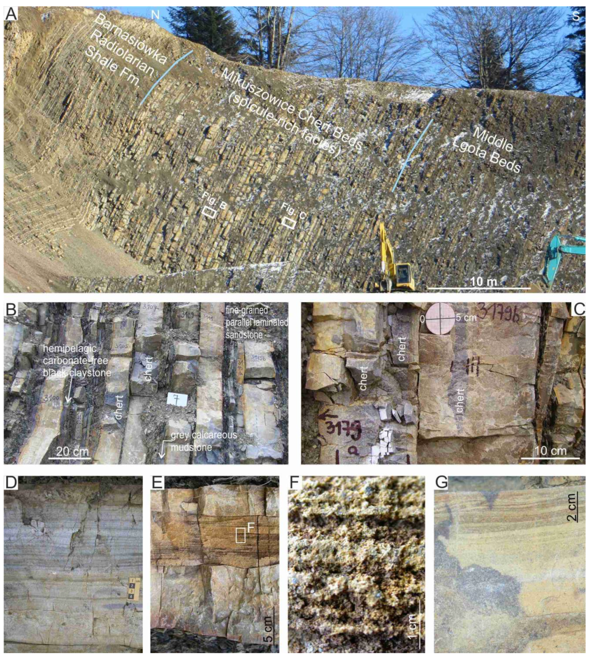 Minerals 12 00152 g003