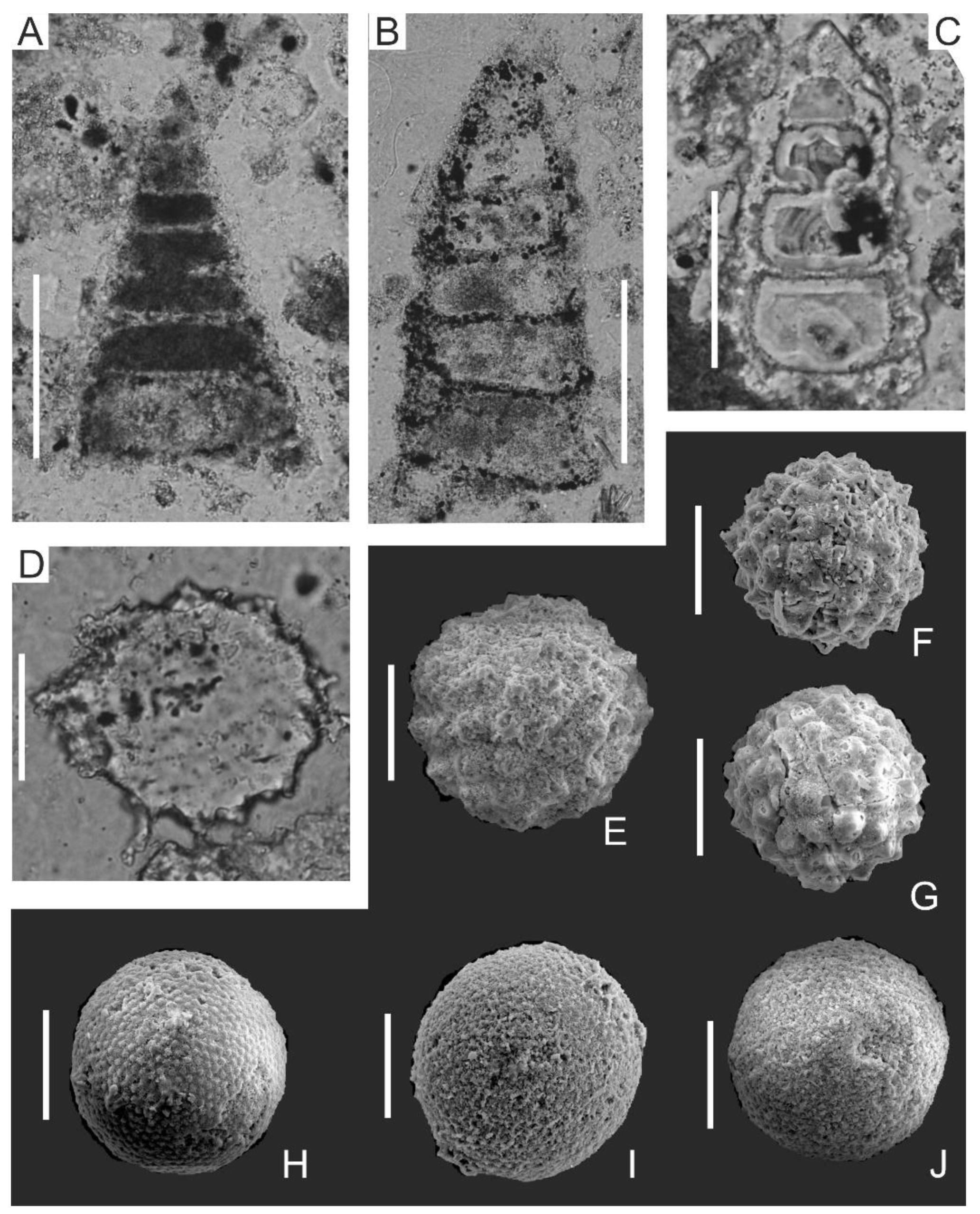 Minerals 12 00152 g008