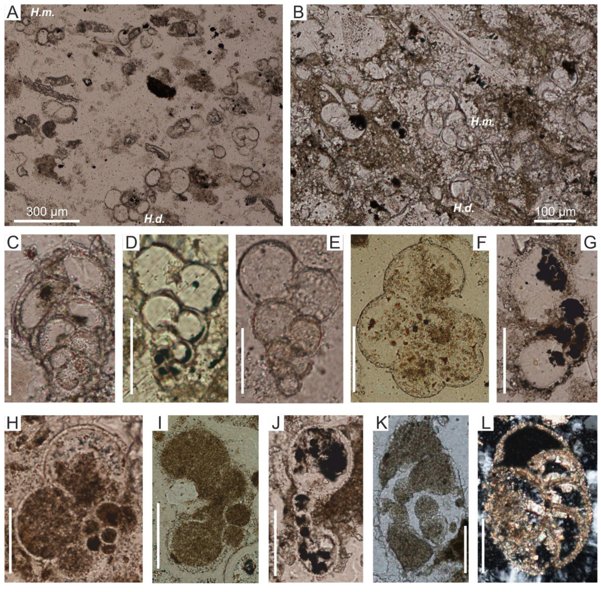 Minerals 12 00152 g009