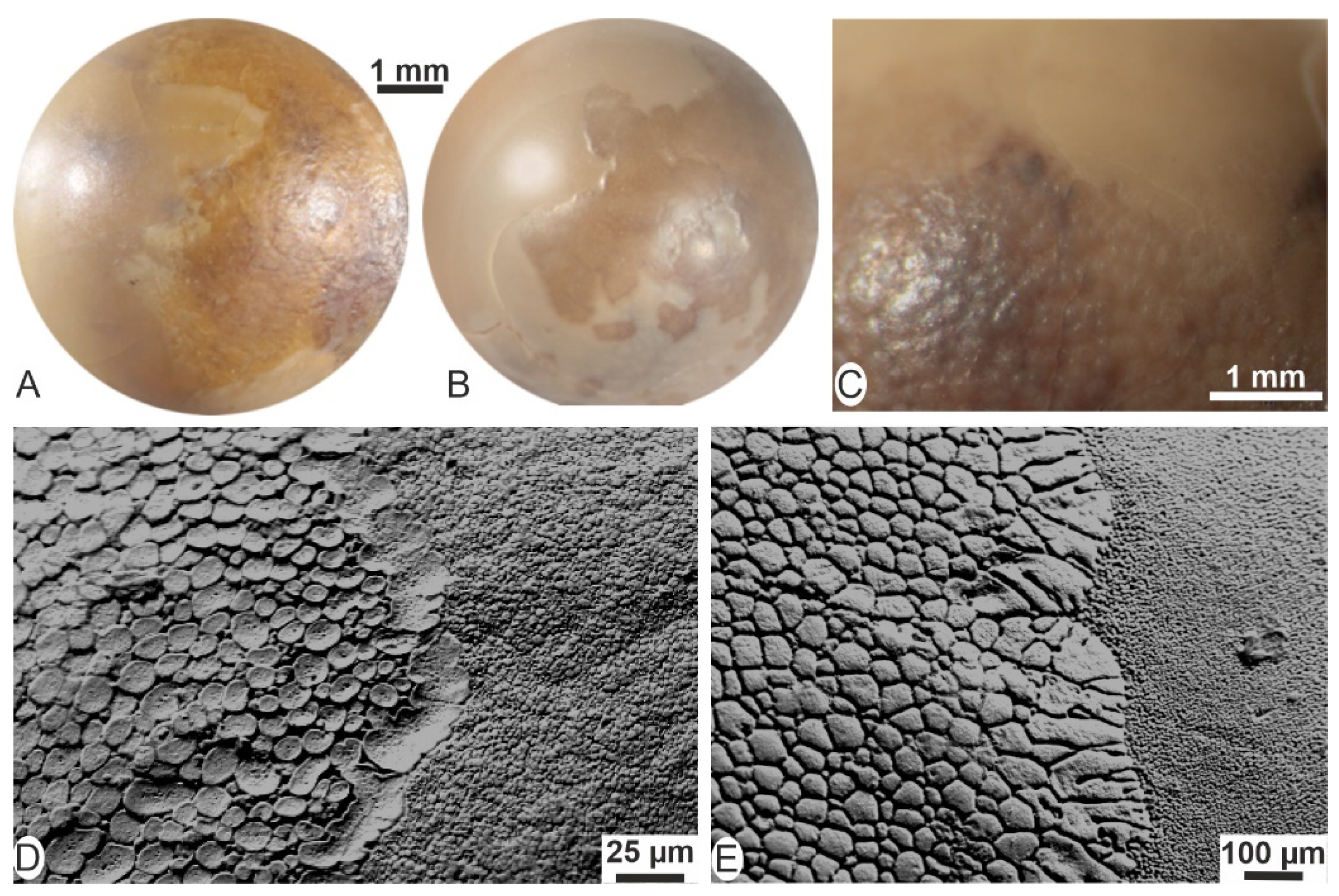 Minerals 12 00172 g001 550