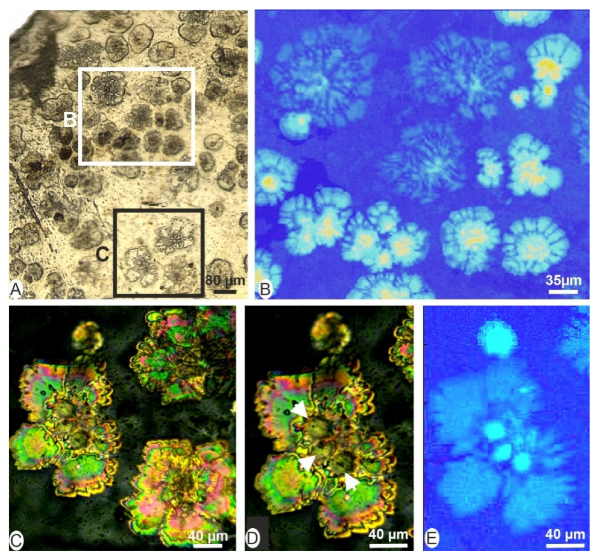 Minerals 12 00172 g002 550