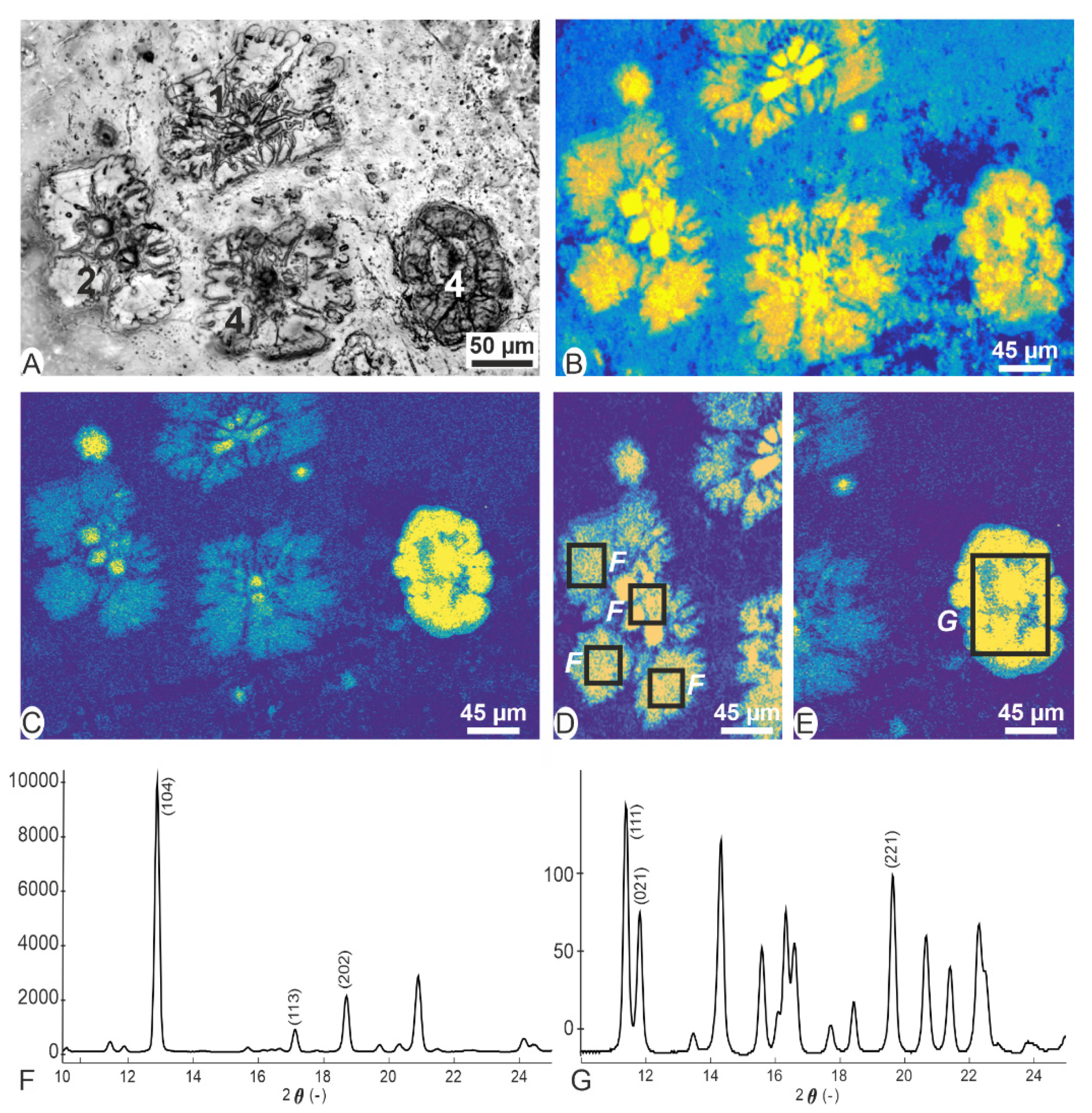 Minerals 12 00172 g003 550