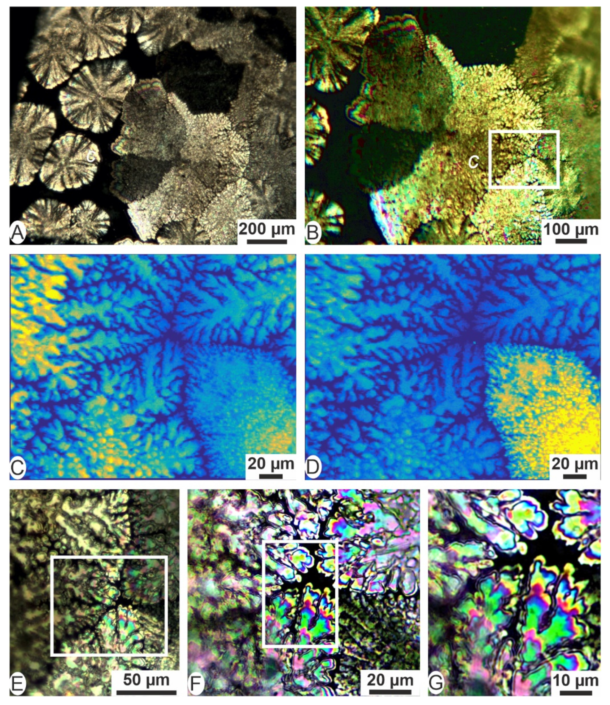Minerals 12 00172 g005 550