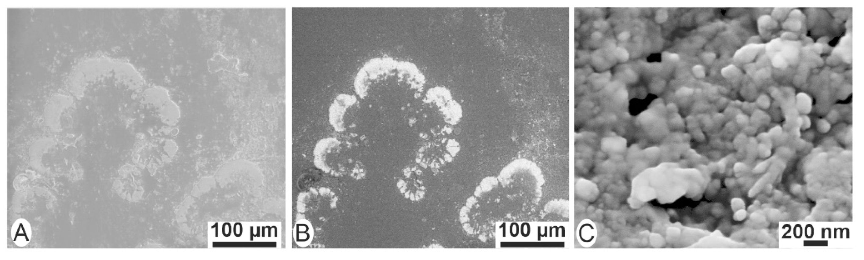 Minerals 12 00172 g008 550