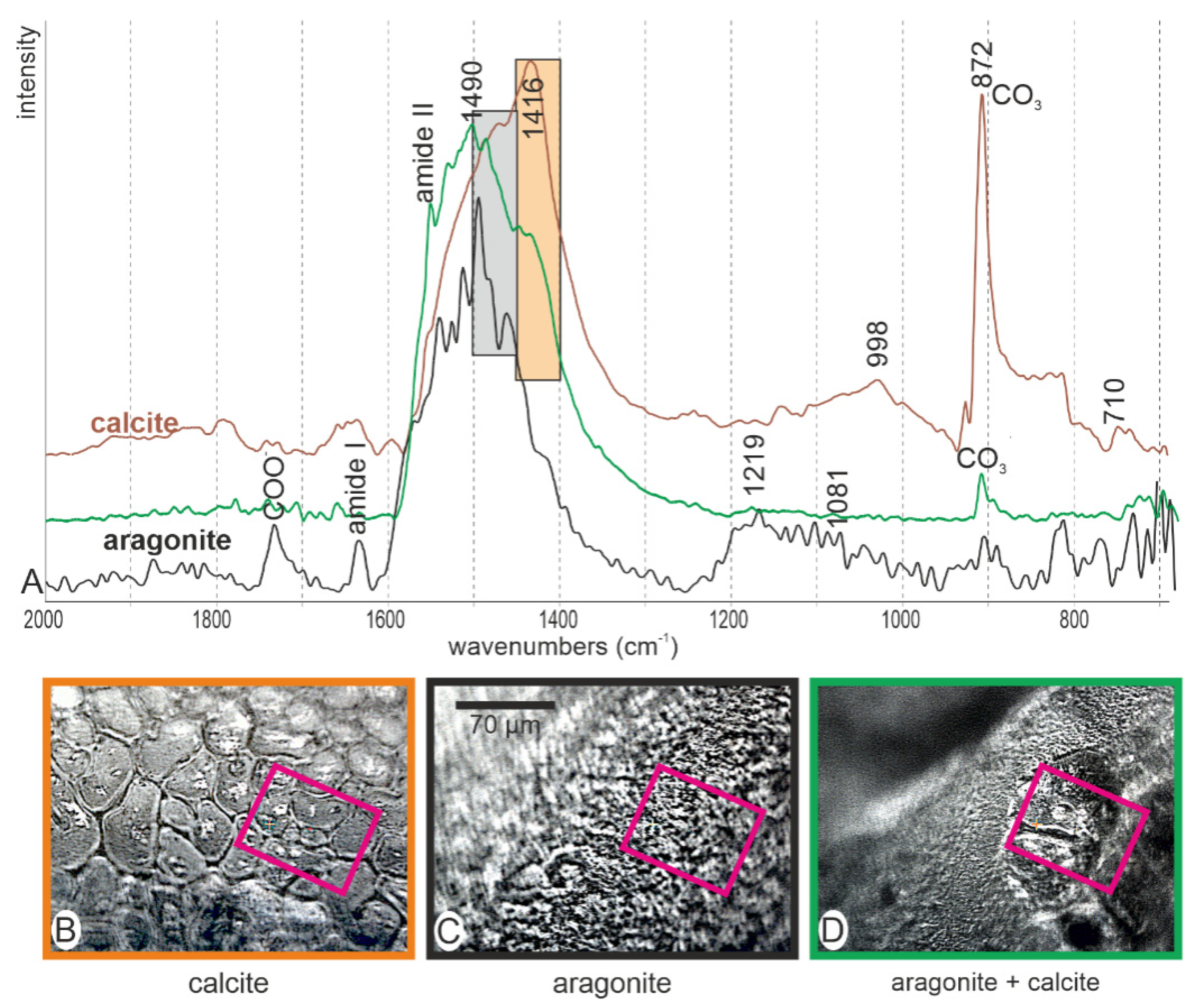 Minerals 12 00172 g009 550