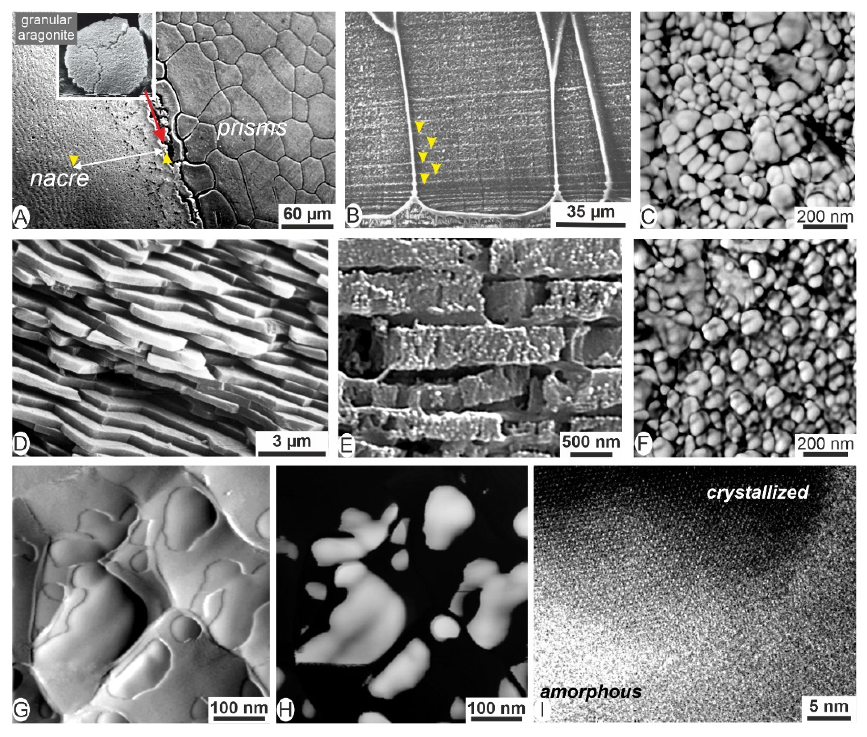 Minerals 12 00172 g011 550