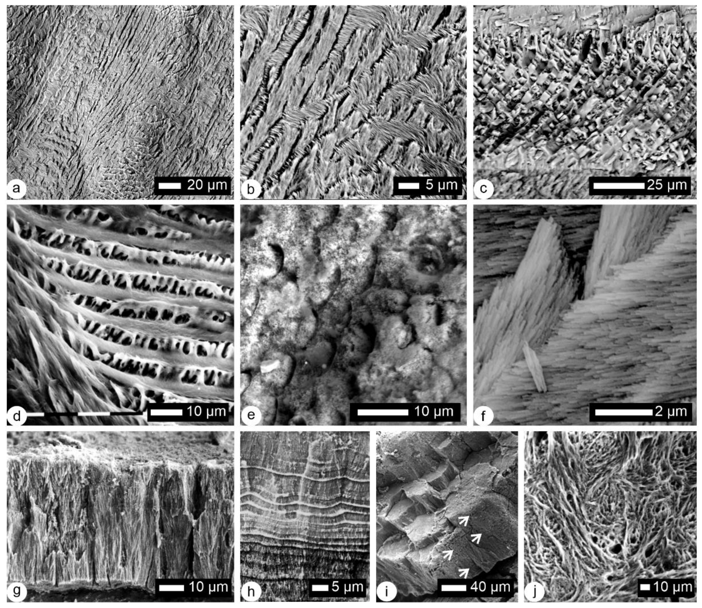 Minerals 12 00180 g005