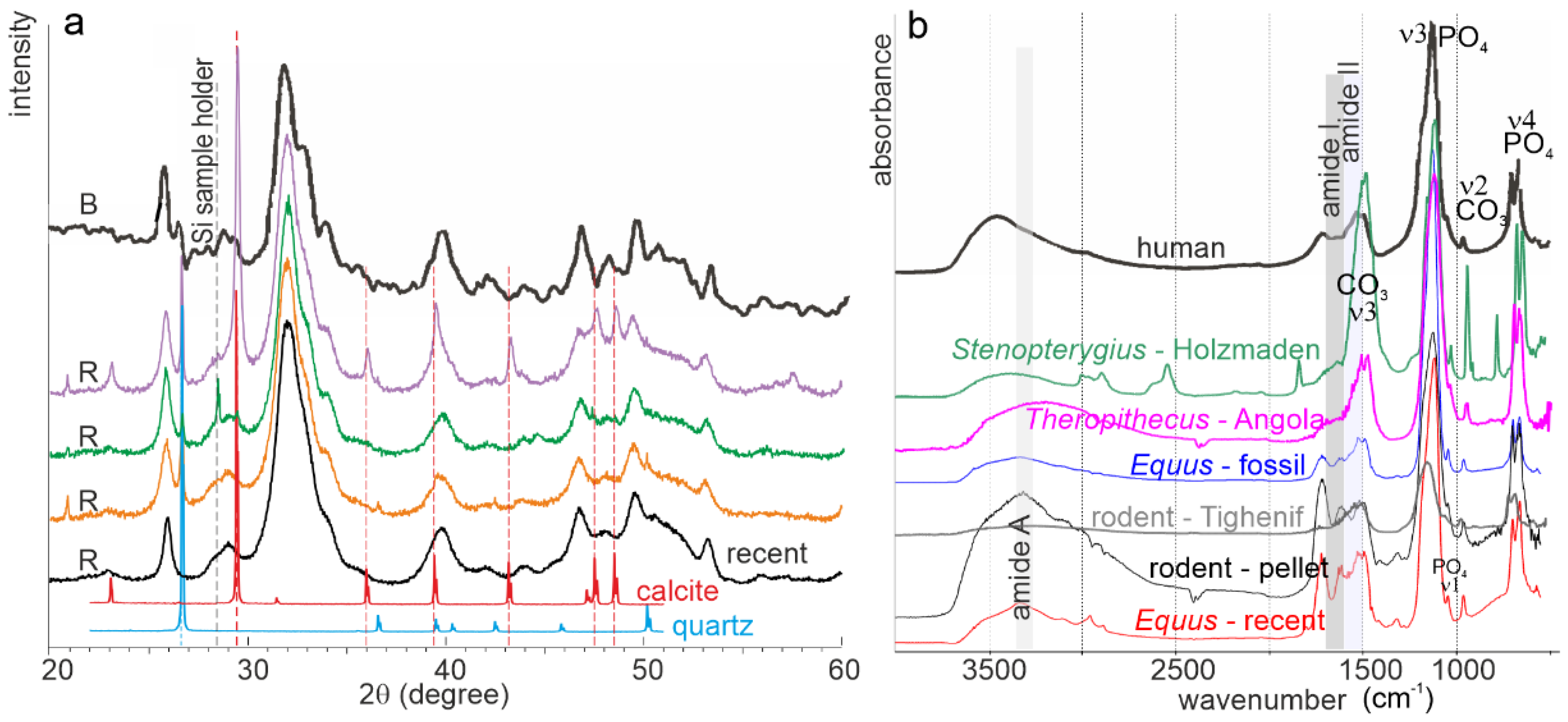 Minerals 12 00180 g008