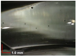 Minerals 12 00193 i006 Minerals 12 00193 i006