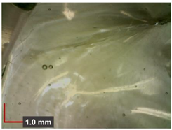 Minerals 12 00193 i010 Minerals 12 00193 i010
