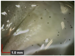 Minerals 12 00193 i012 Minerals 12 00193 i012