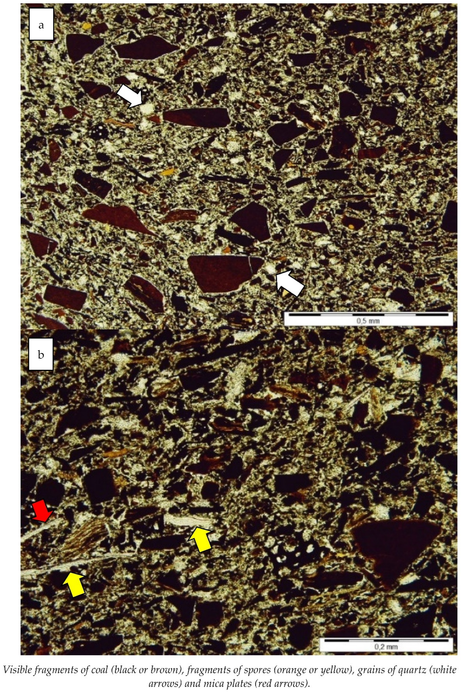 Minerals 12 00212 g008