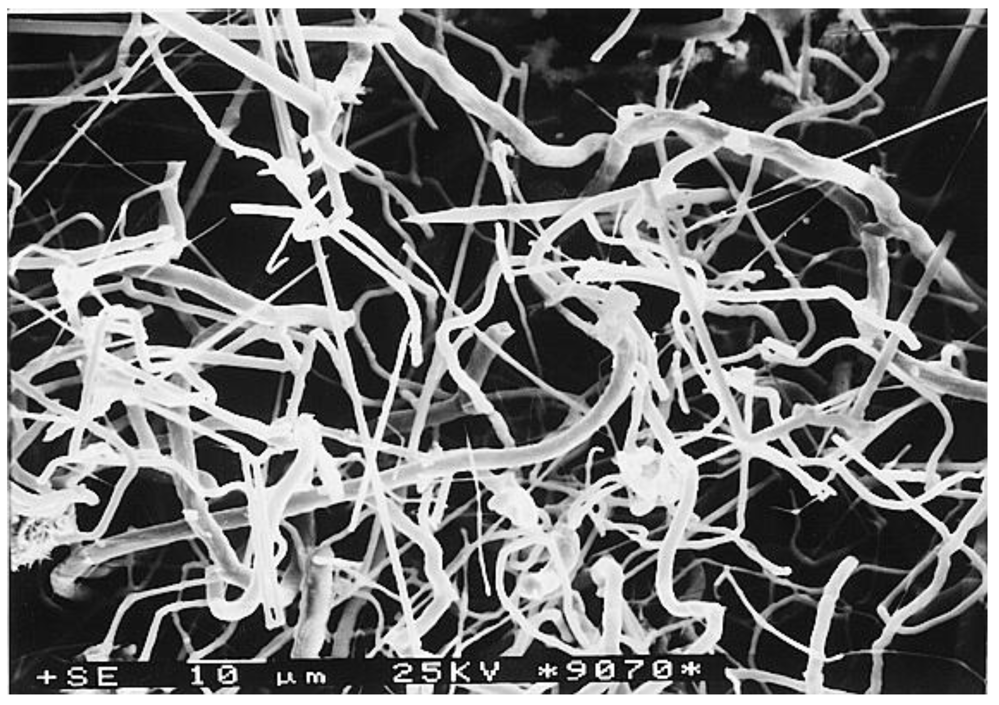 Minerals 12 00222 g002 Minerals 12 00222 g002