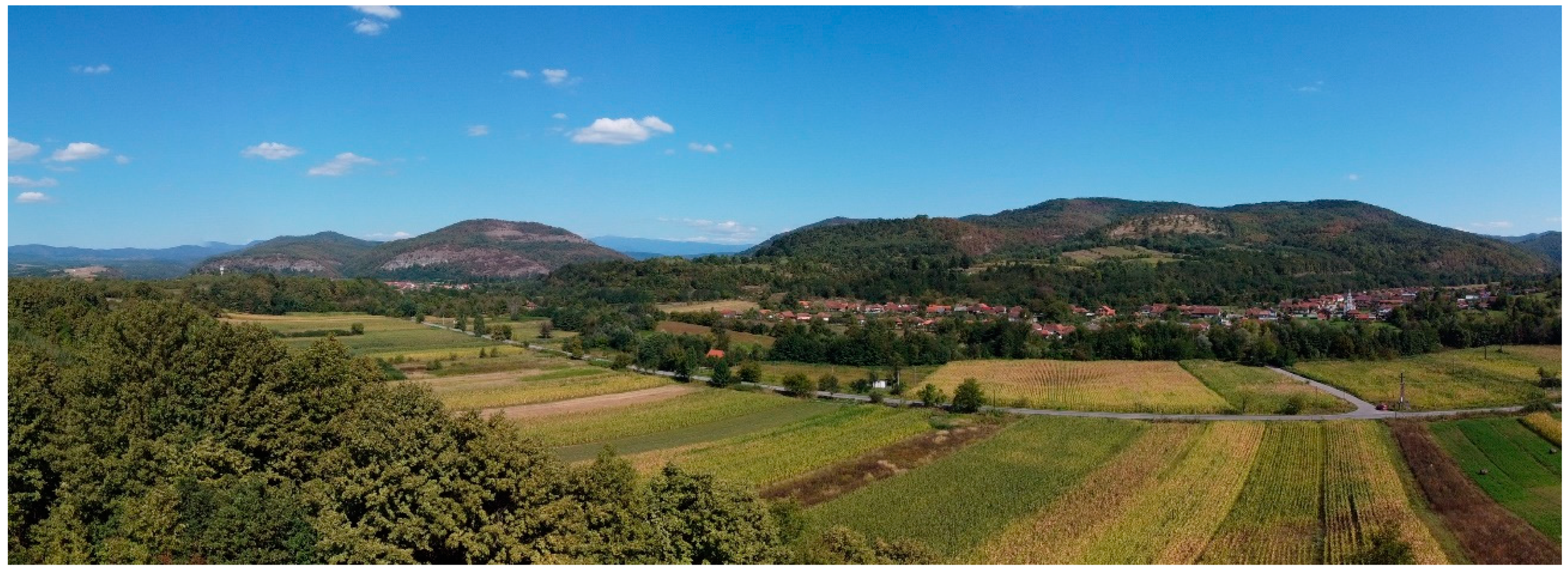 Minerals 12 00243 g003