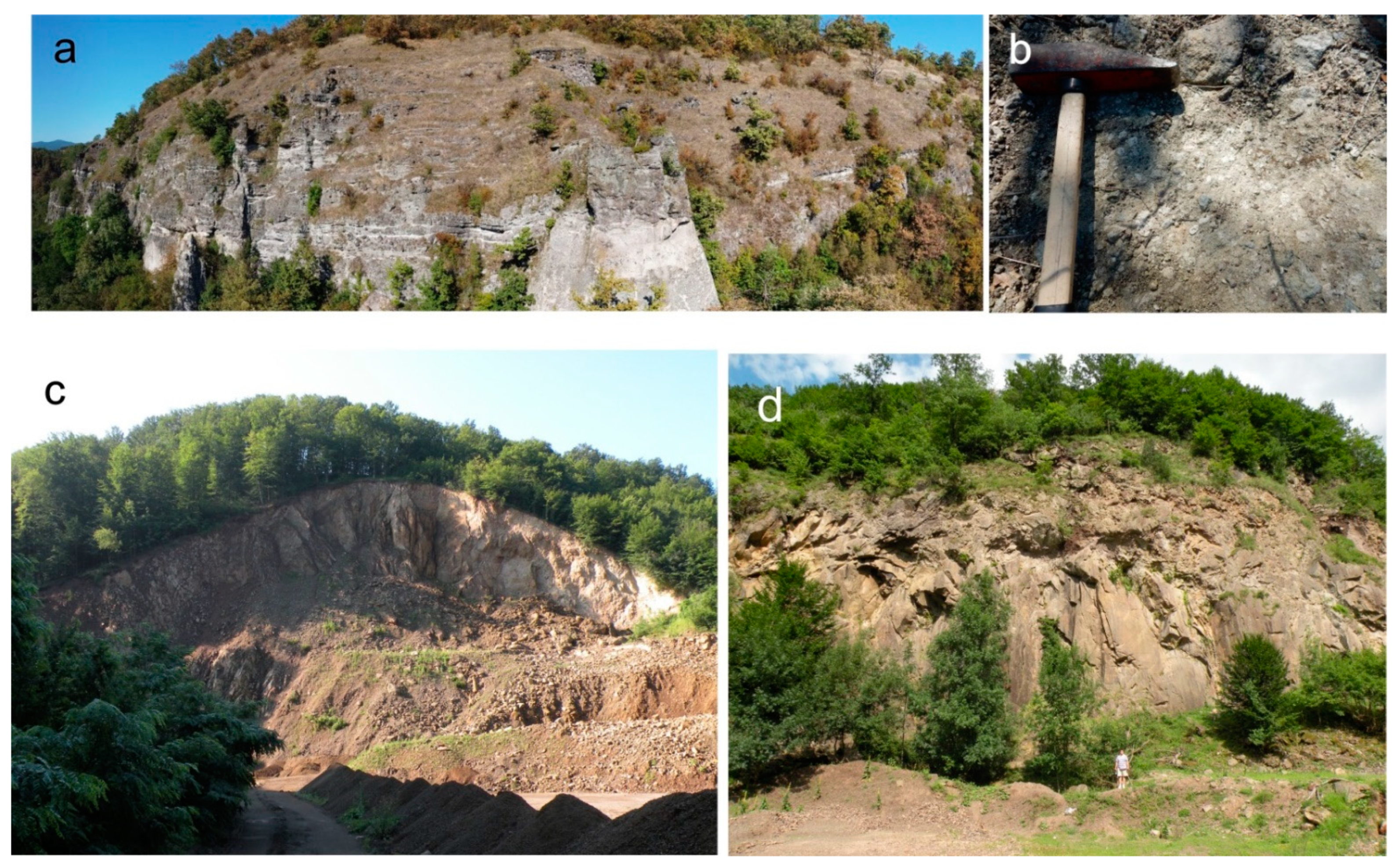 Minerals 12 00243 g005