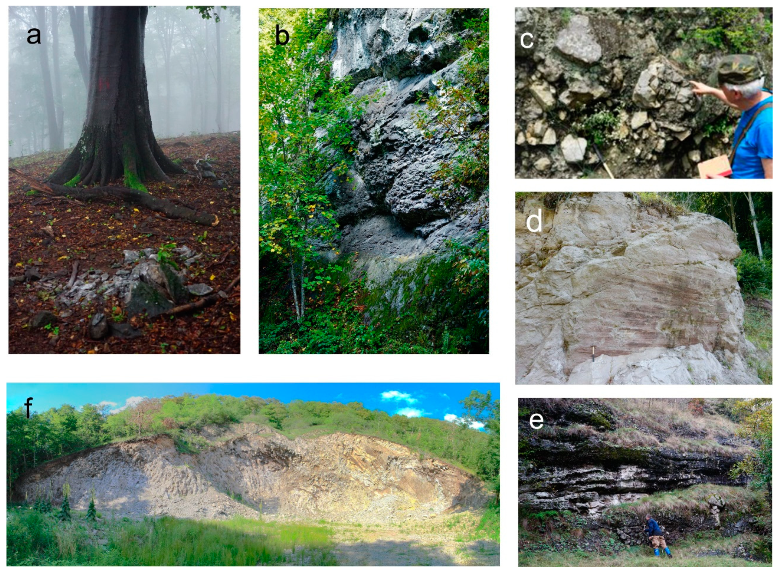 Minerals 12 00243 g006