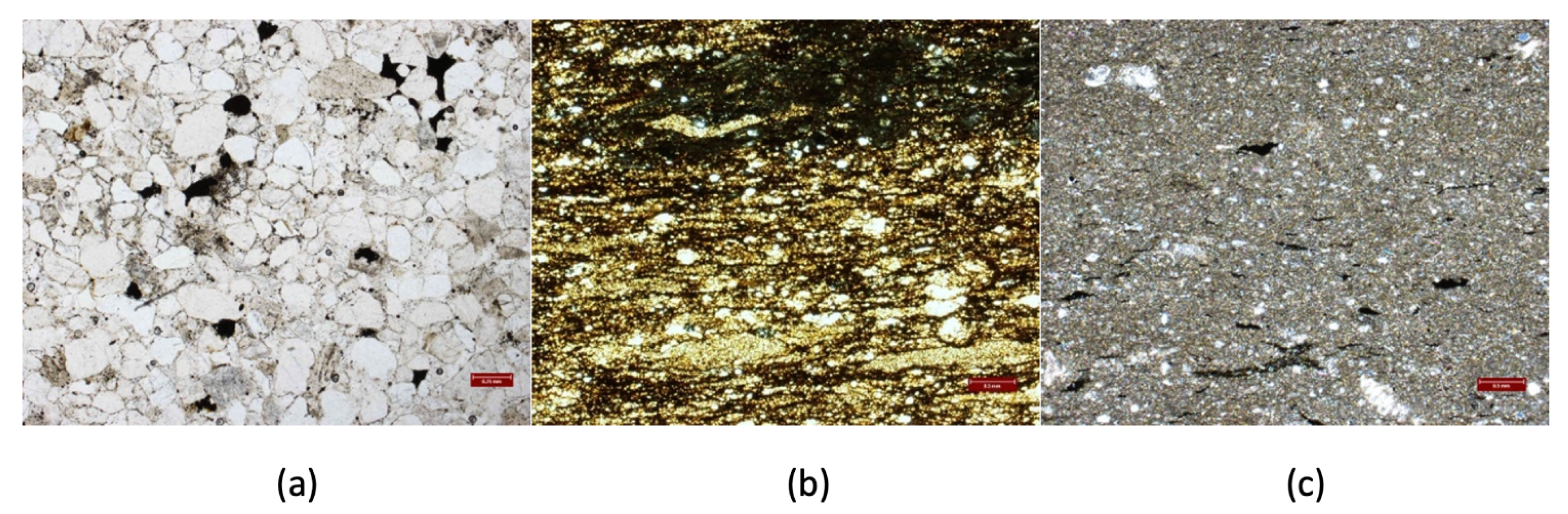 Minerals 12 00244 g002 550