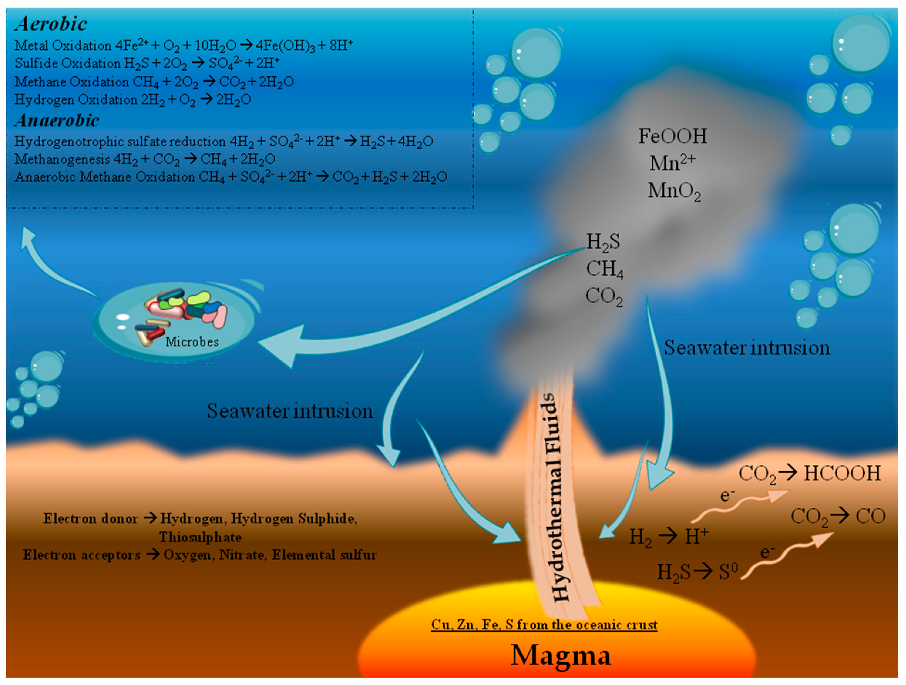 hydrothermal vent diagram