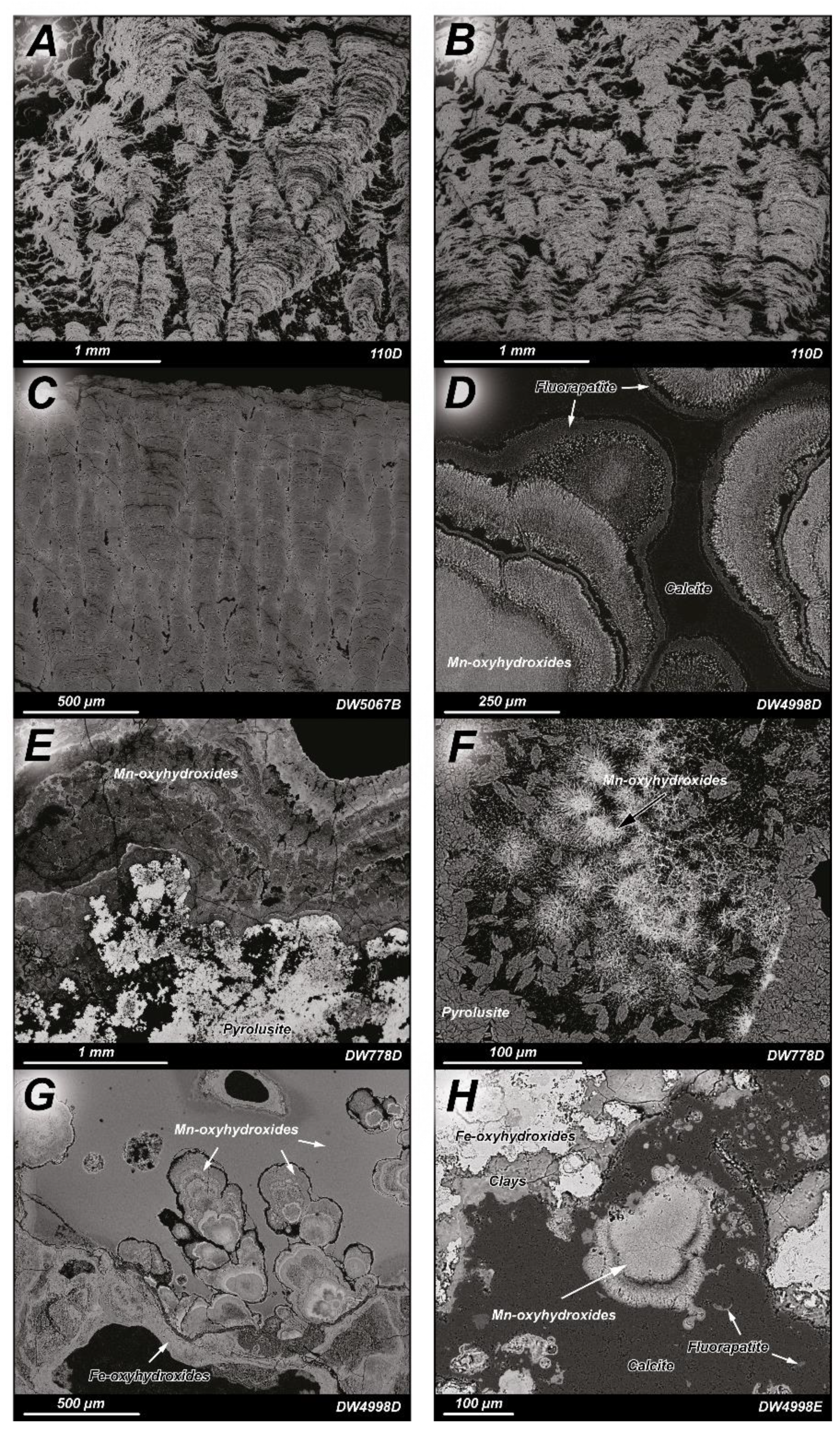 Minerals 12 00255 g004 550