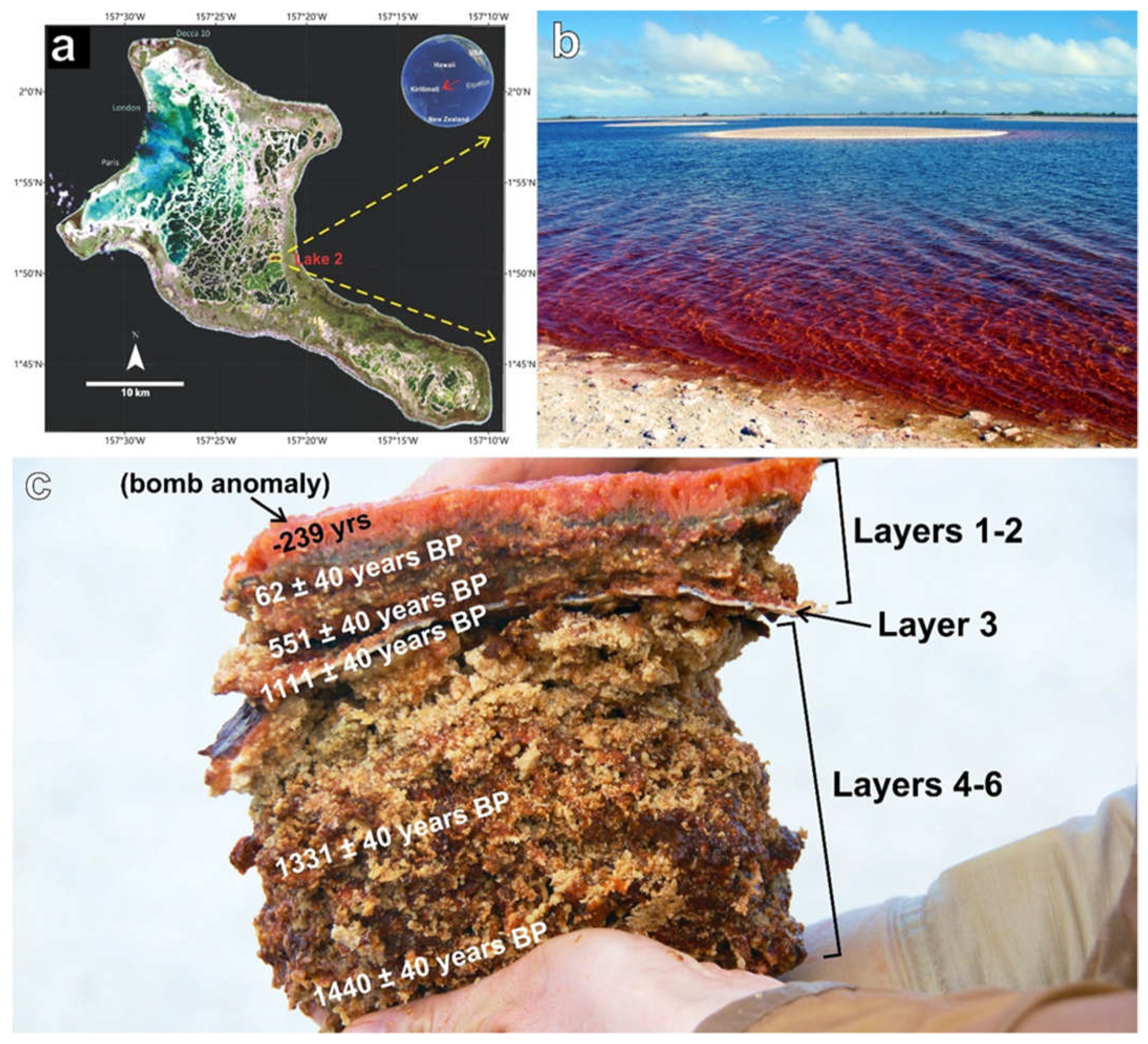 Minerals 12 00267 g001
