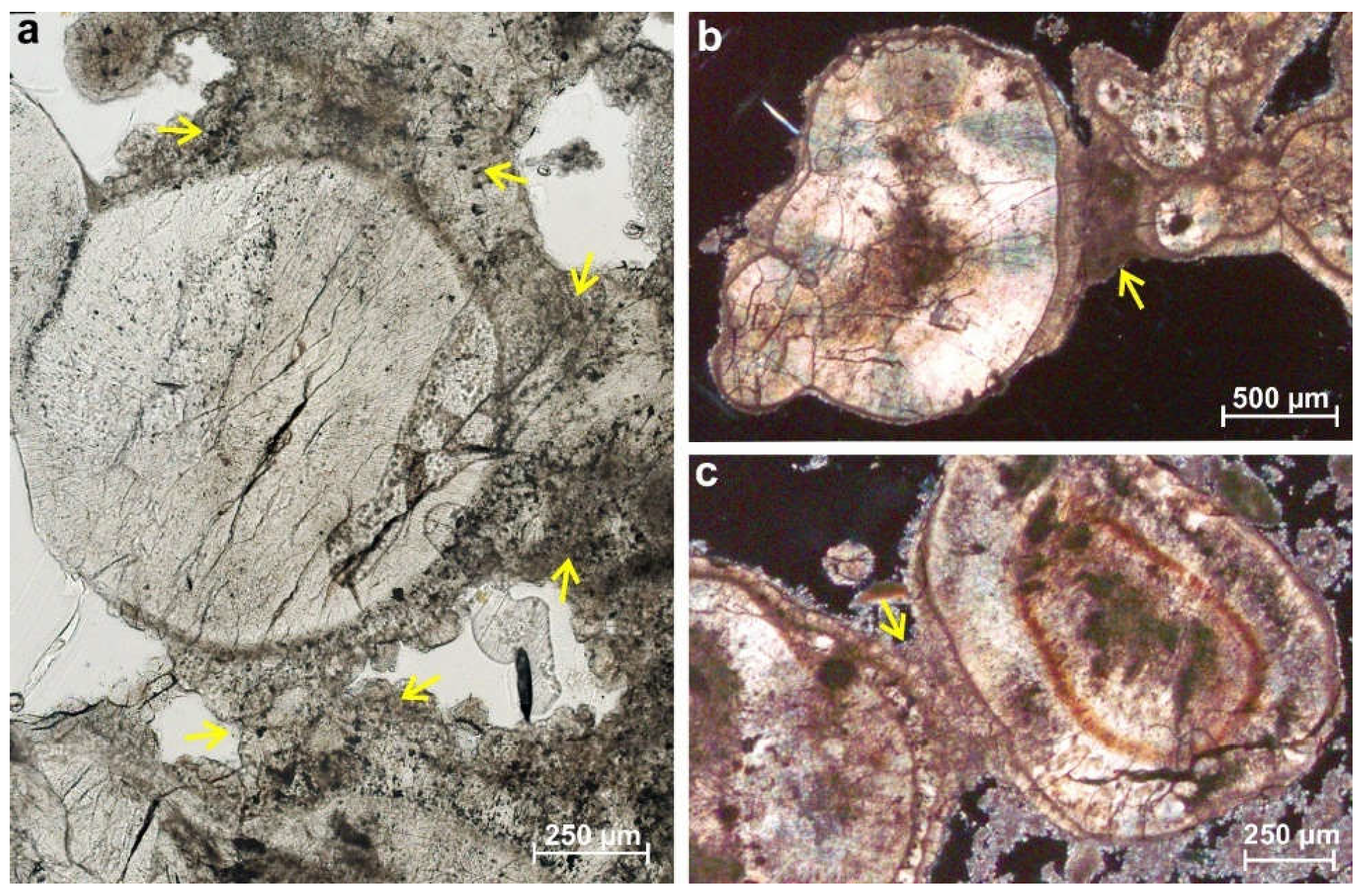 Minerals 12 00267 g005