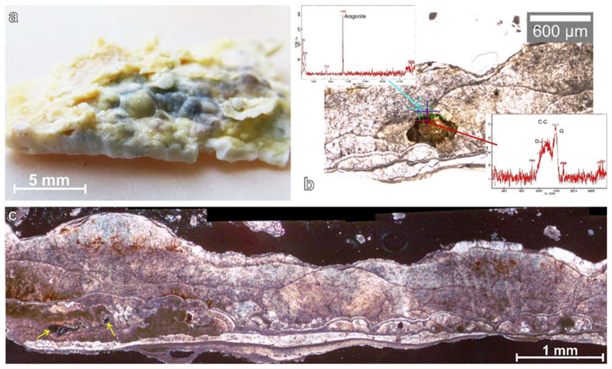Minerals 12 00267 g006