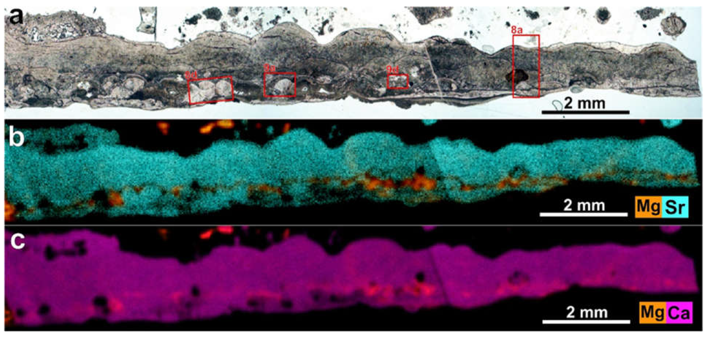 Minerals 12 00267 g007