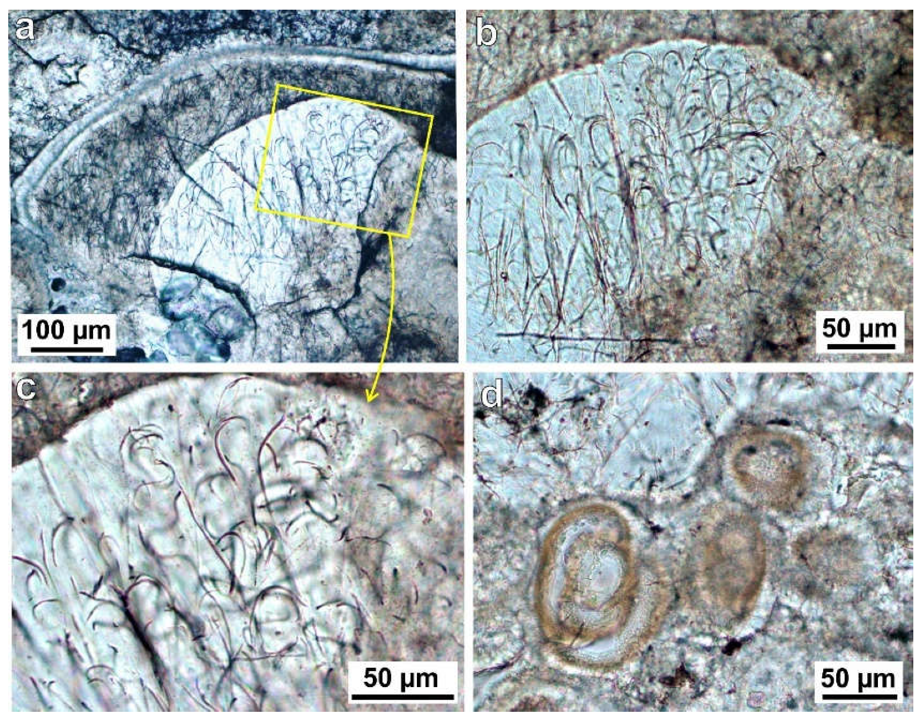 Minerals 12 00267 g009