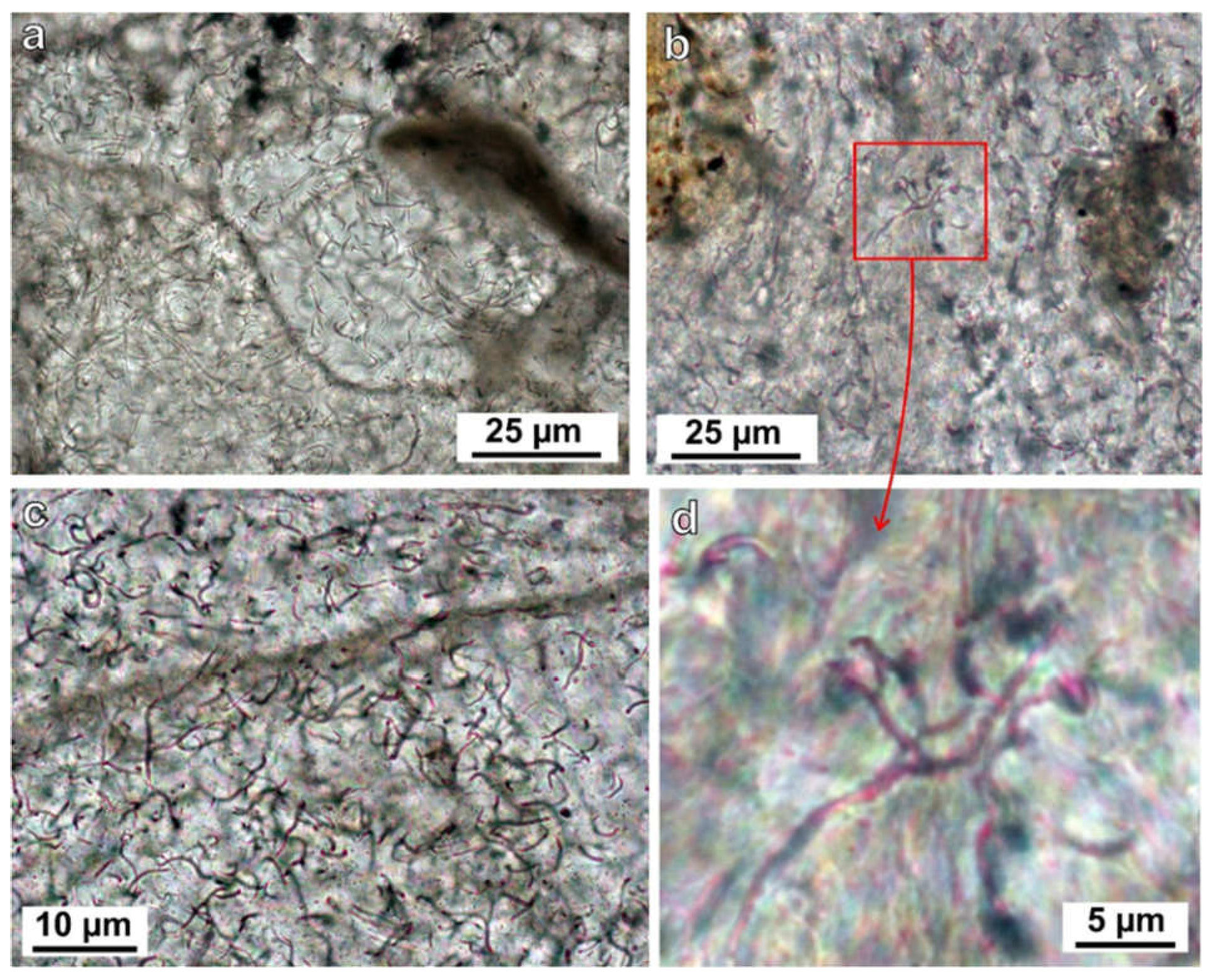 Minerals 12 00267 g010