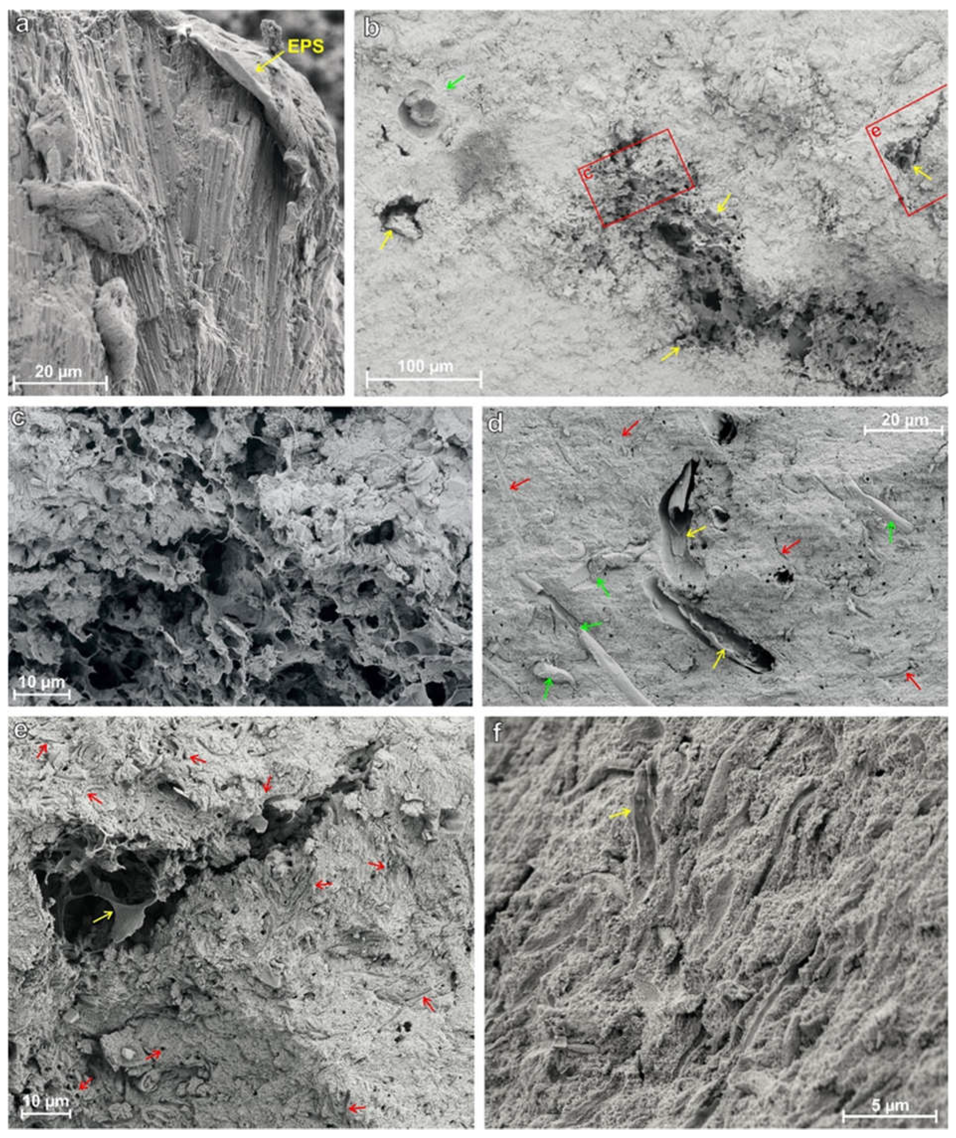Minerals 12 00267 g012