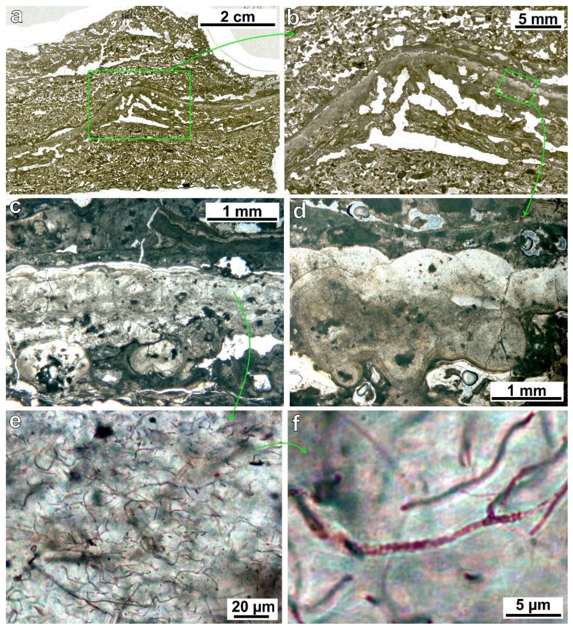 Minerals 12 00267 g013