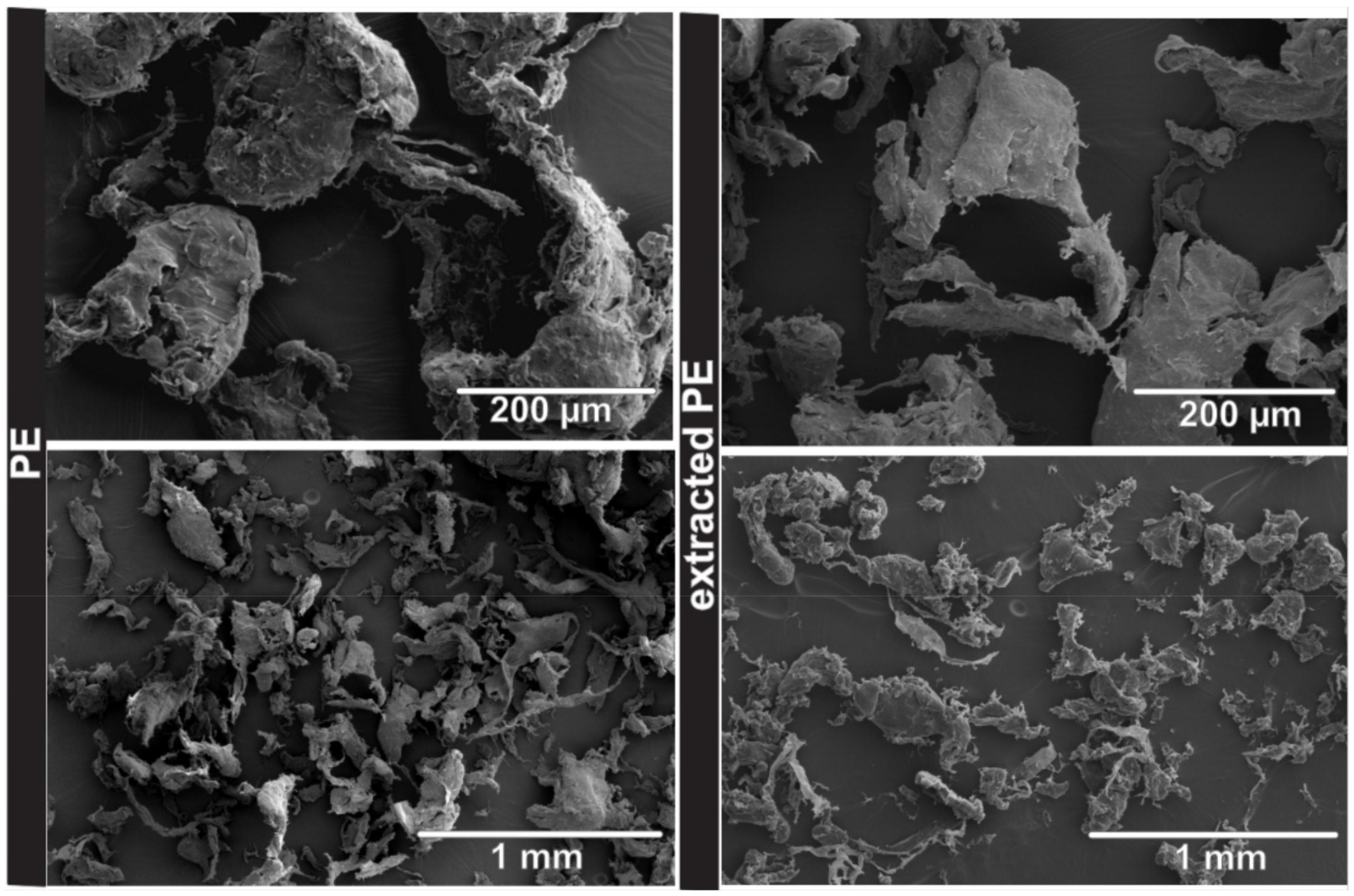 Minerals 12 00269 g008
