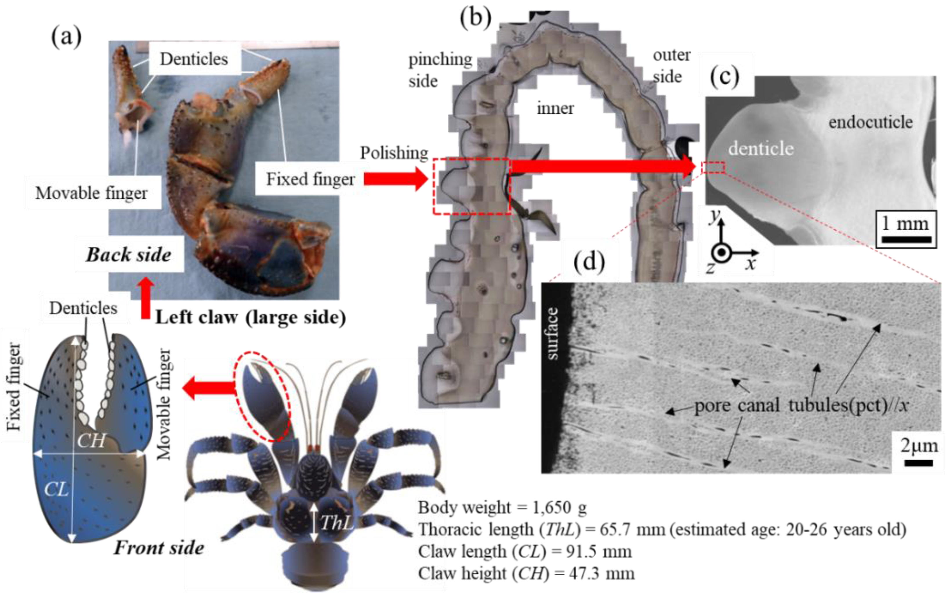 Minerals 12 00274 g001