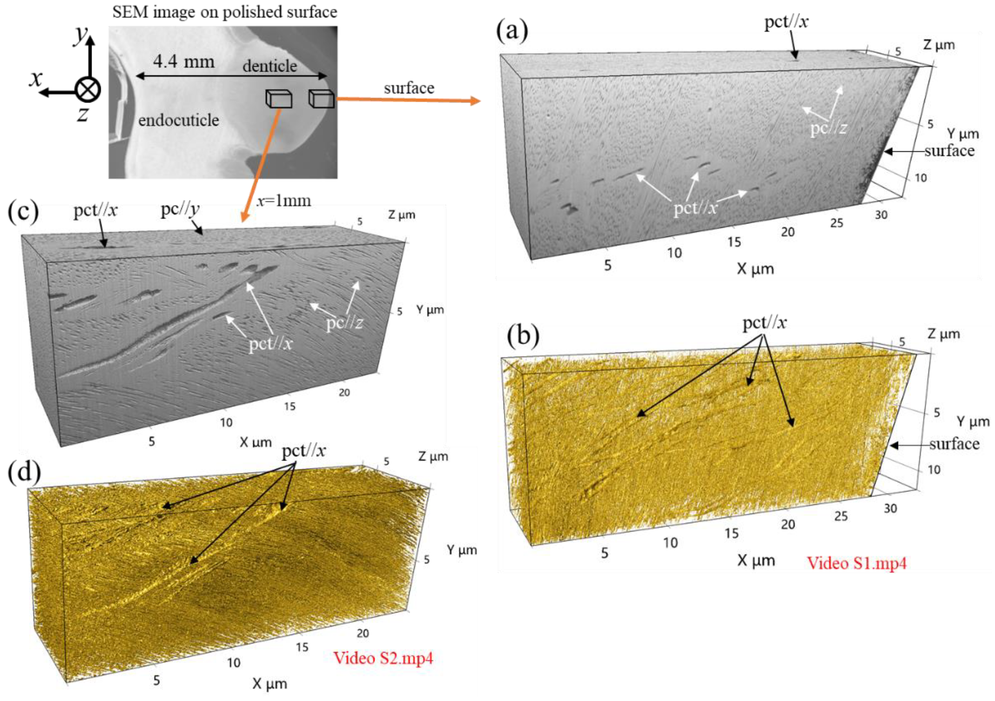 Minerals 12 00274 g002