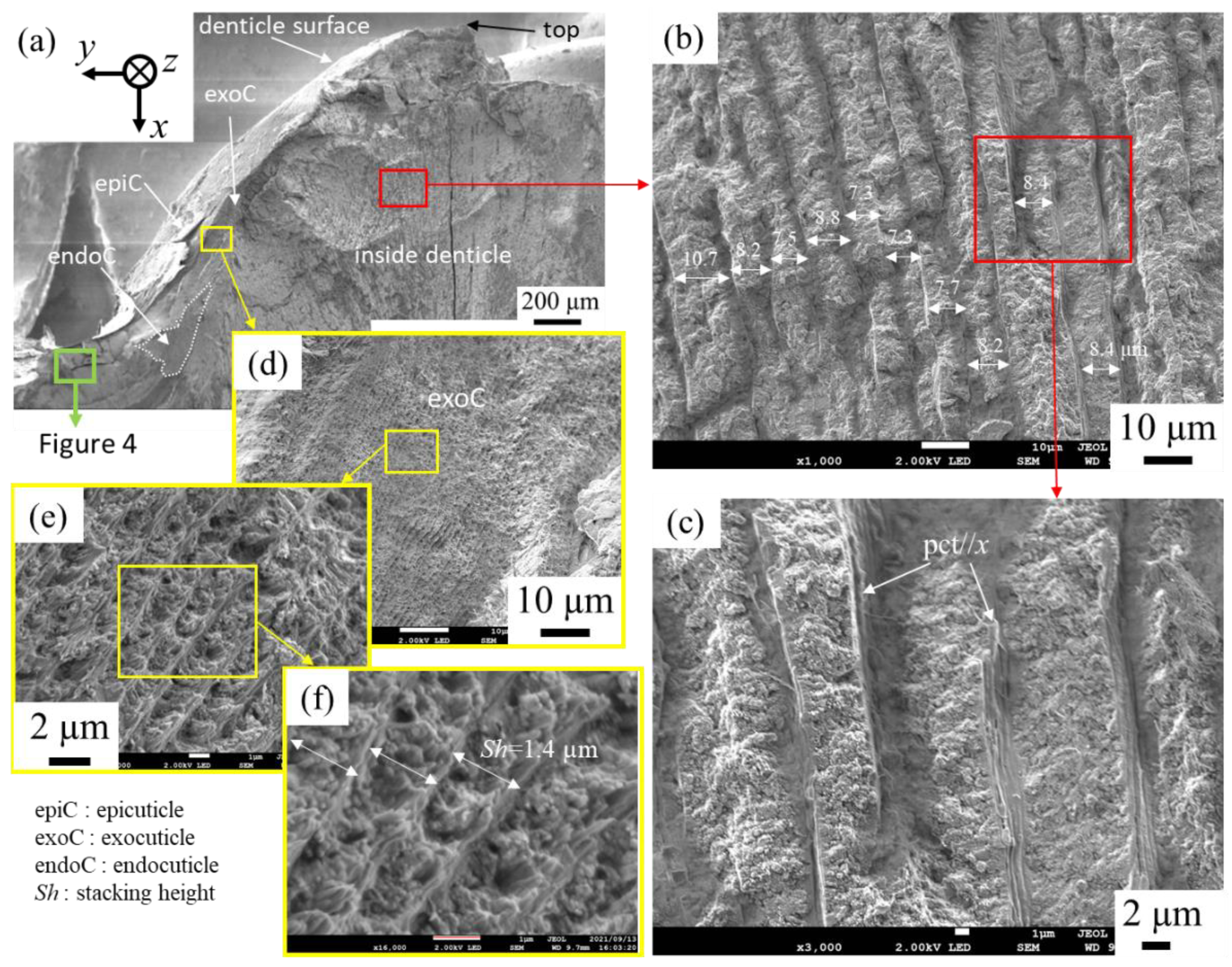Minerals 12 00274 g003