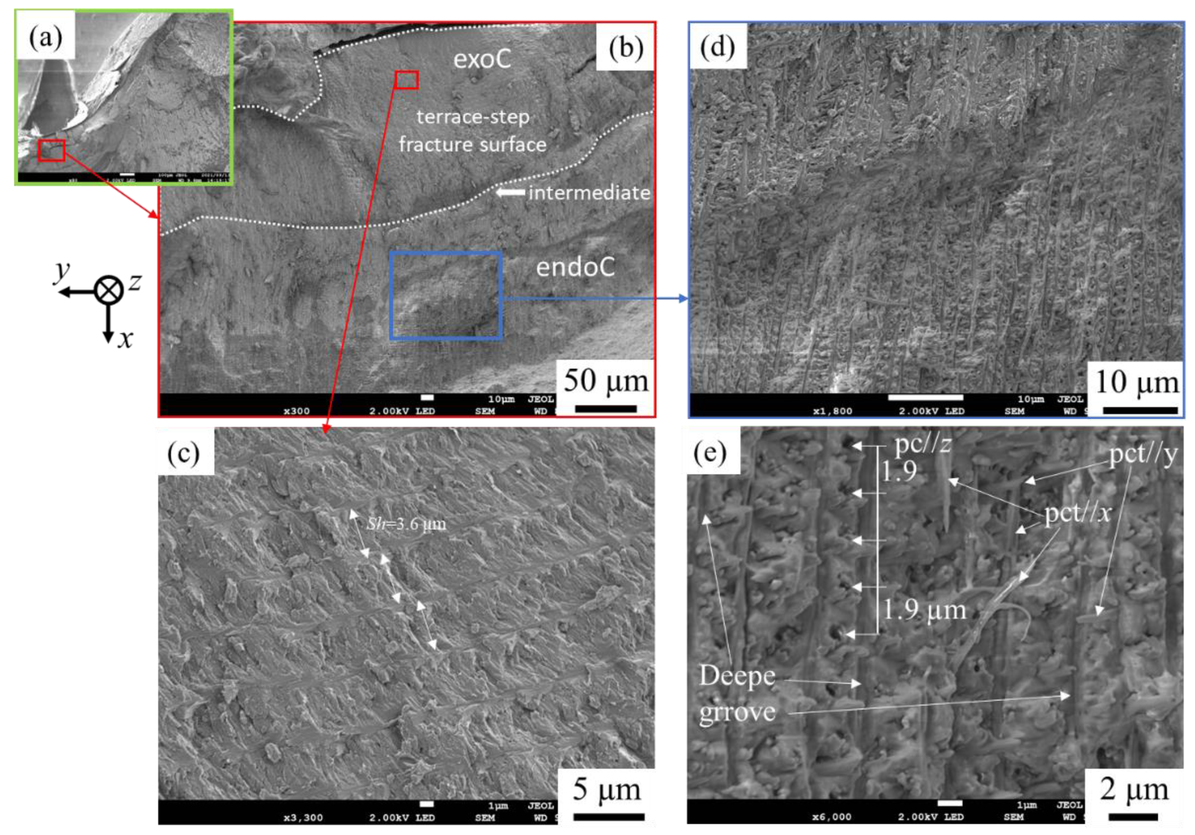 Minerals 12 00274 g004
