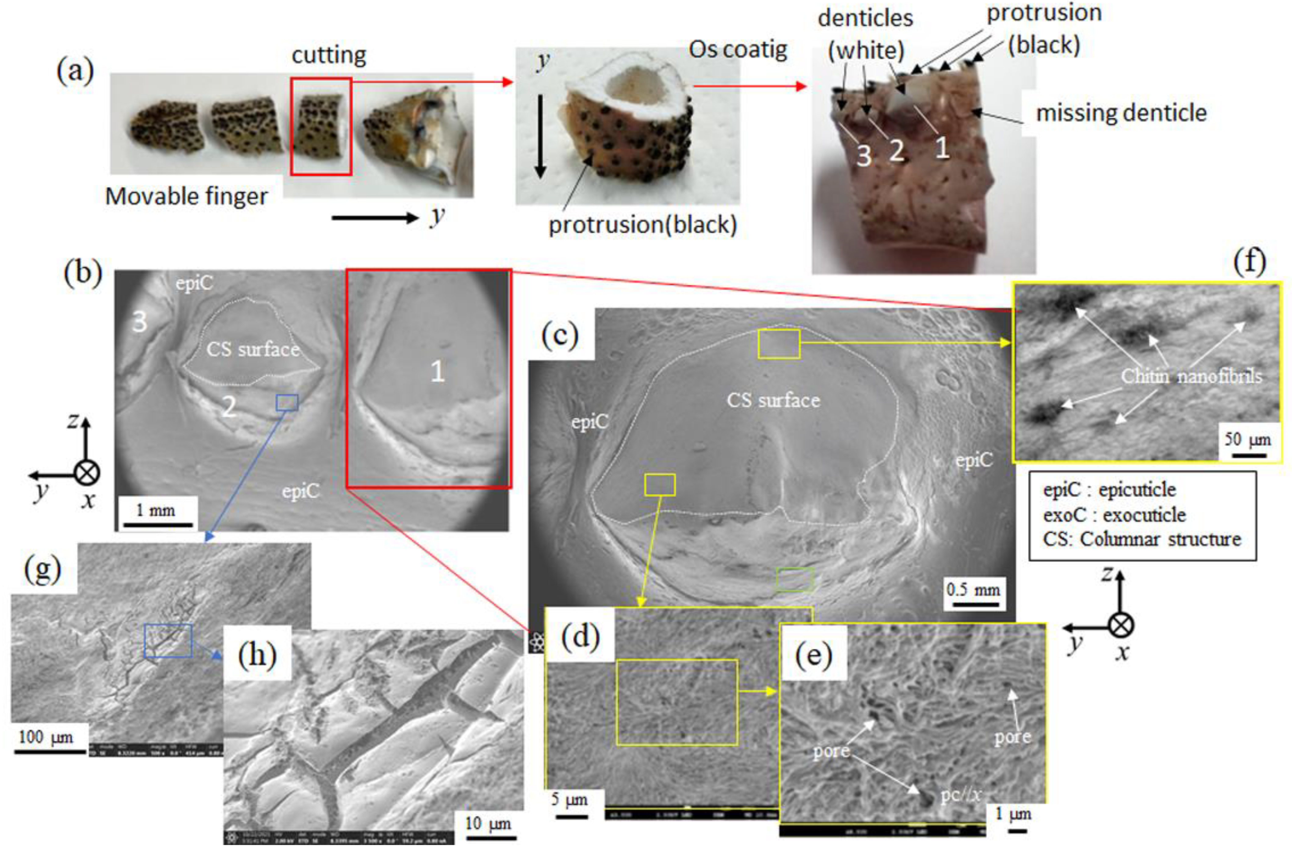 Minerals 12 00274 g005