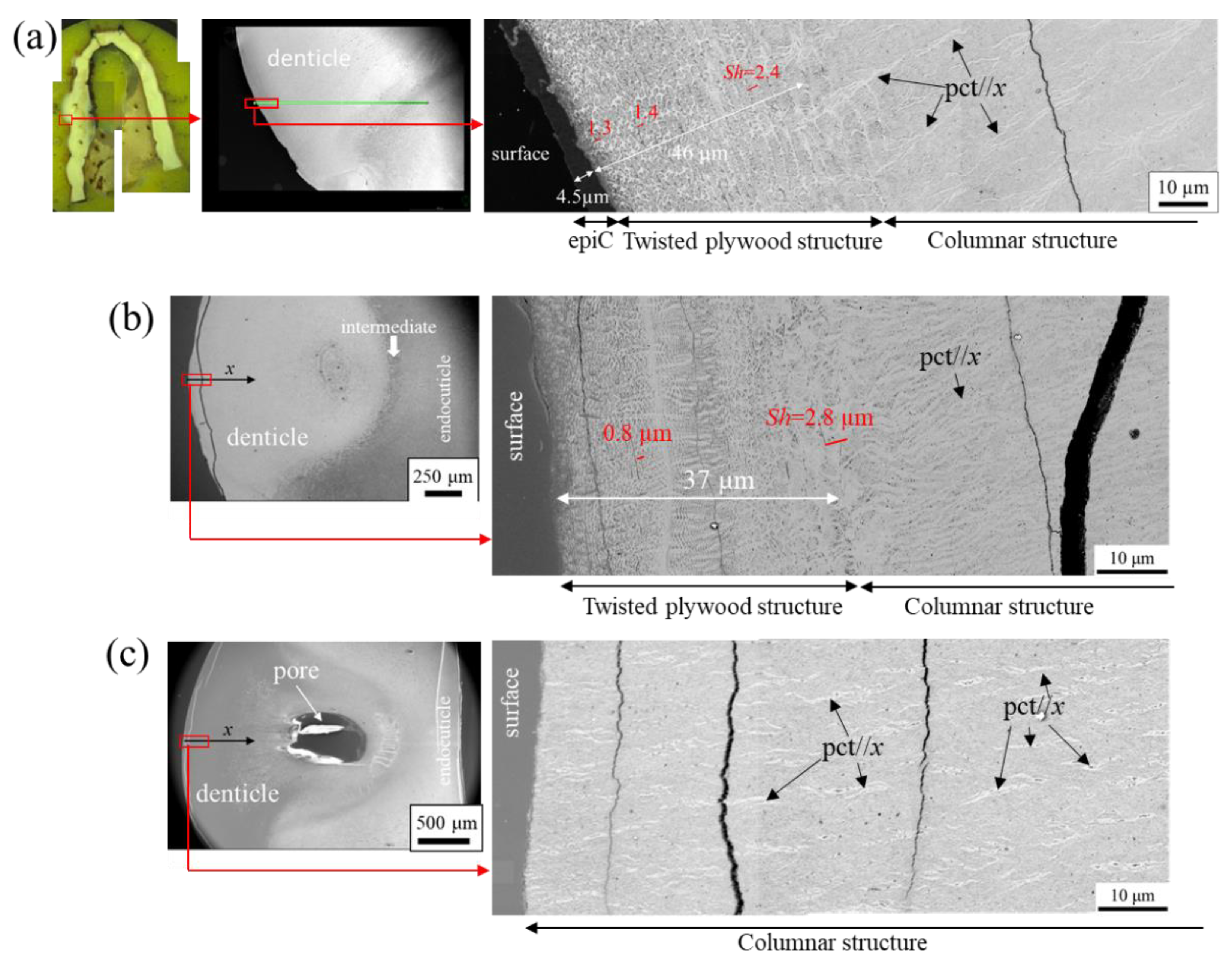 Minerals 12 00274 g006