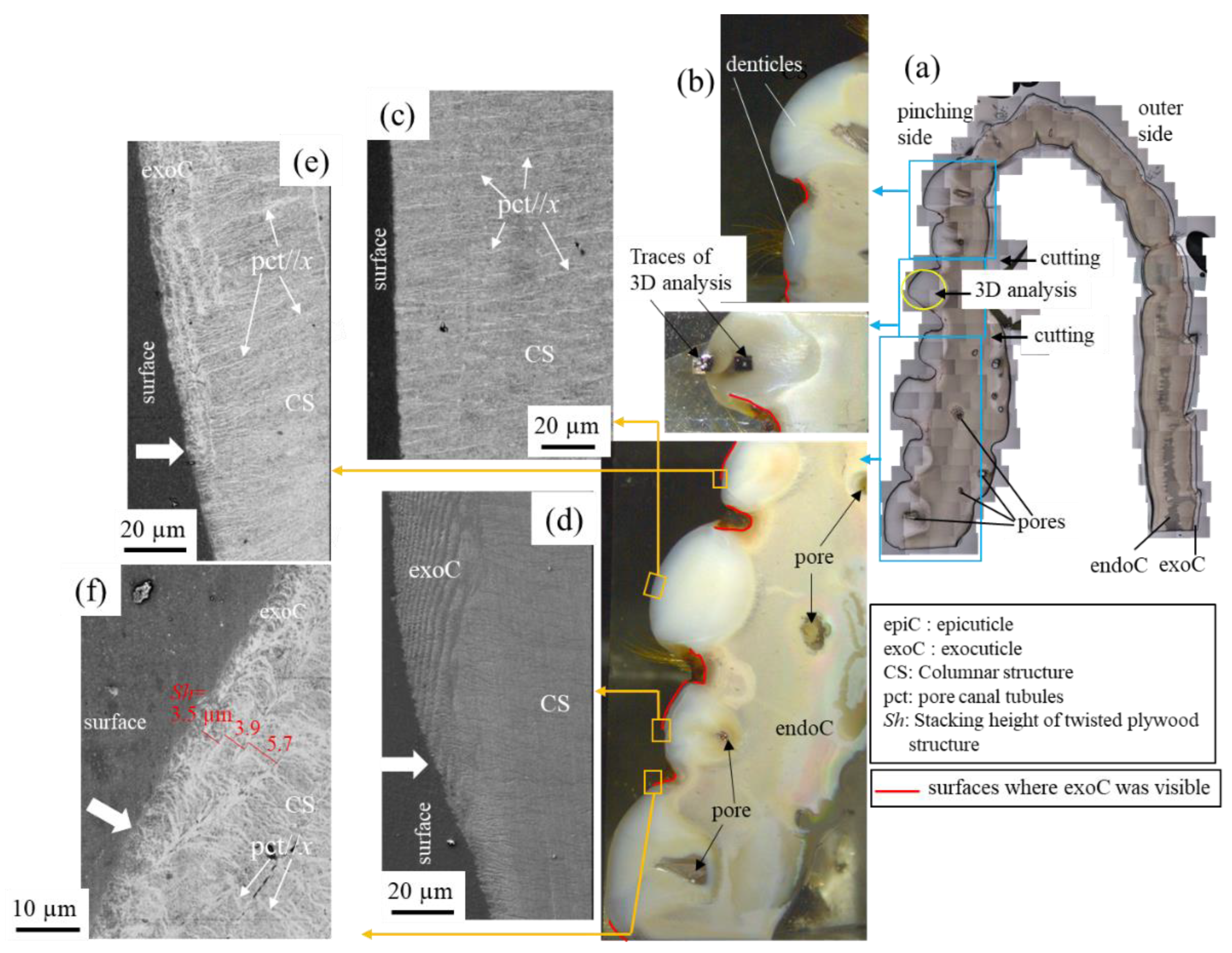 Minerals 12 00274 g007