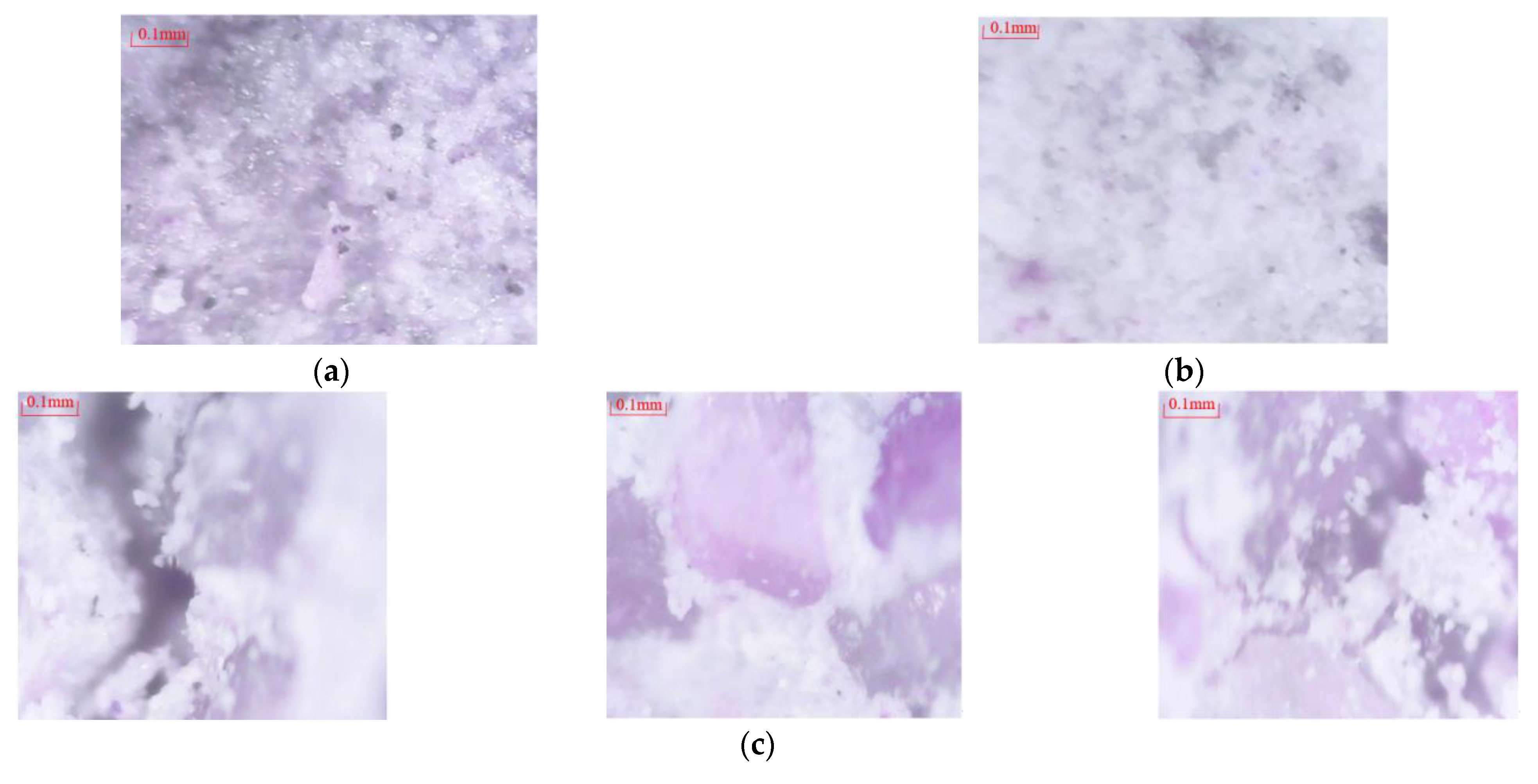 Minerals 12 00290 g010a 550