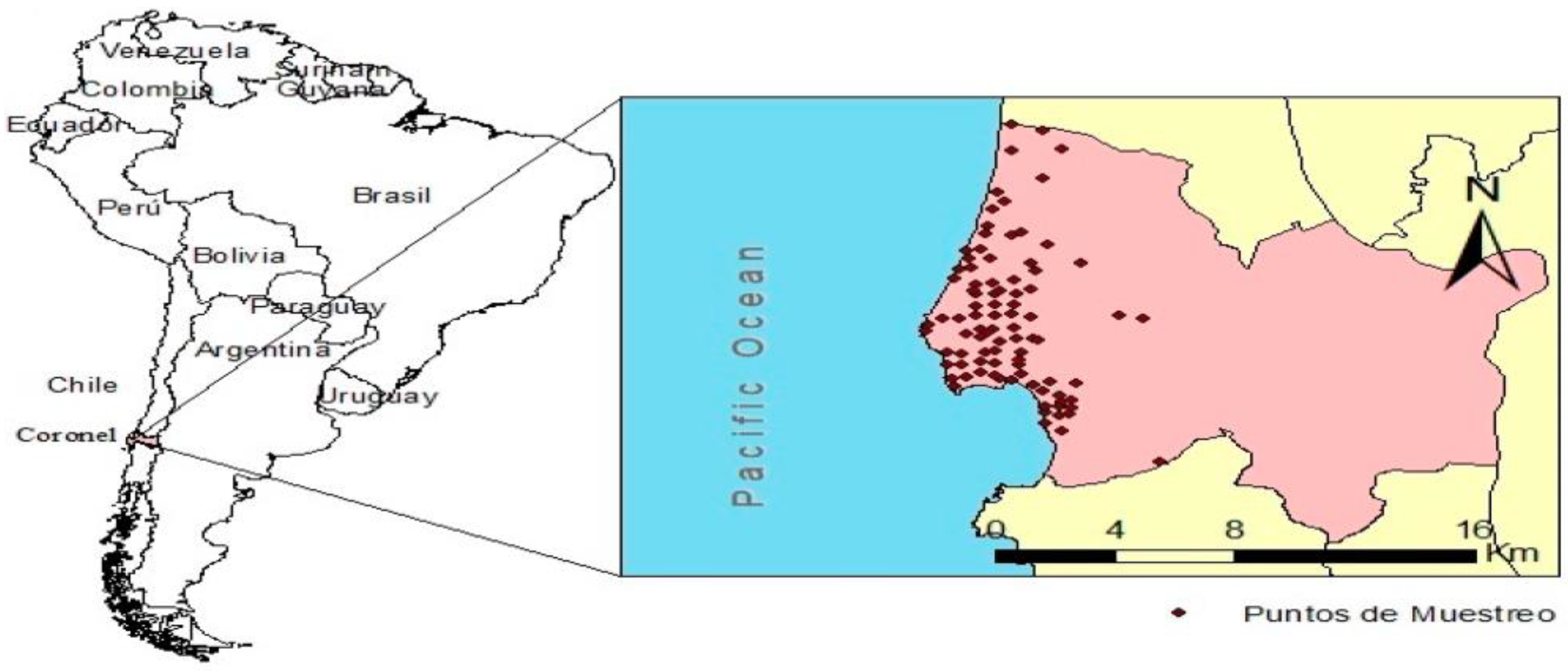 Minerals 12 00320 g001 550